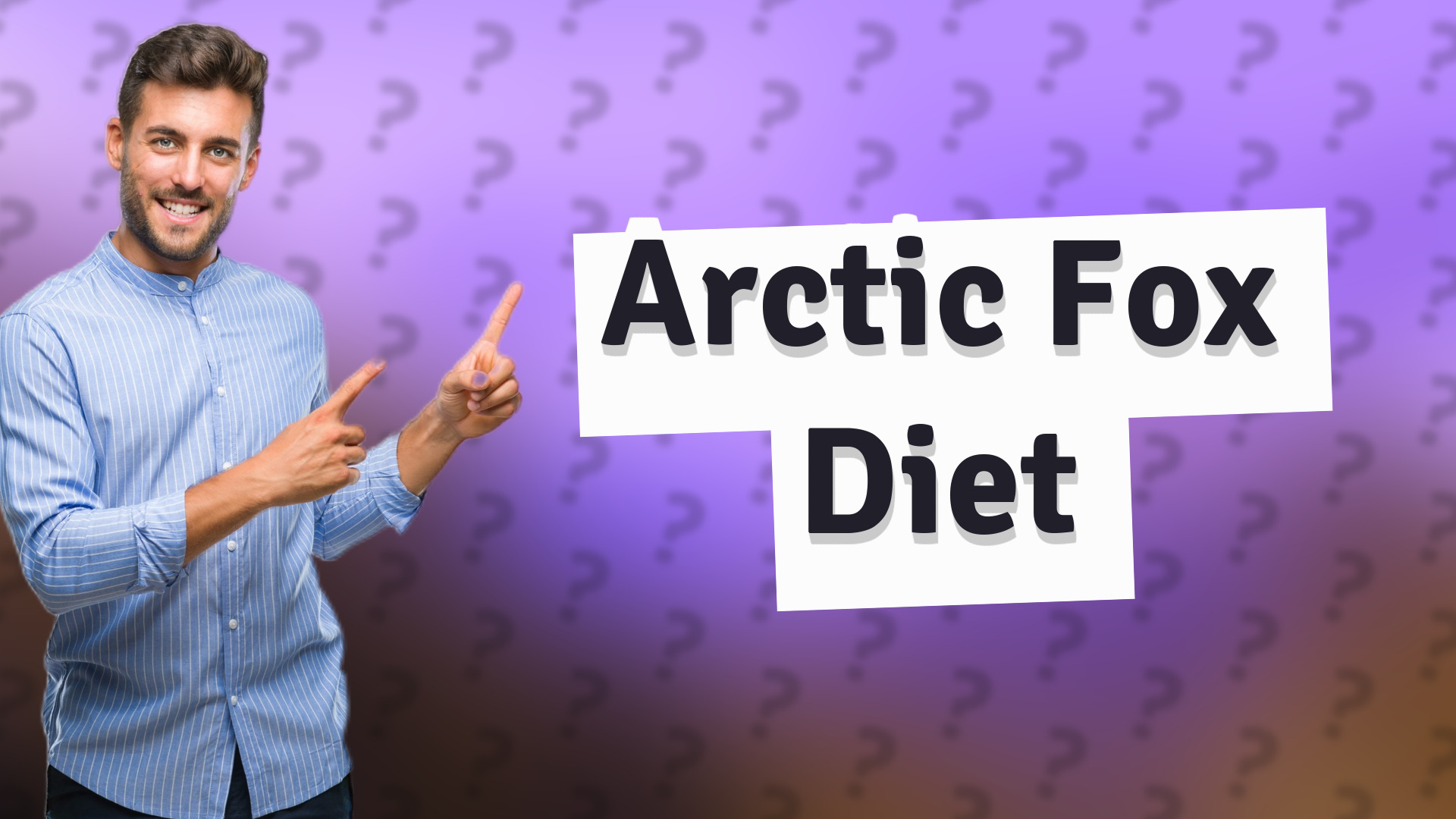 Arctic Fox Diet