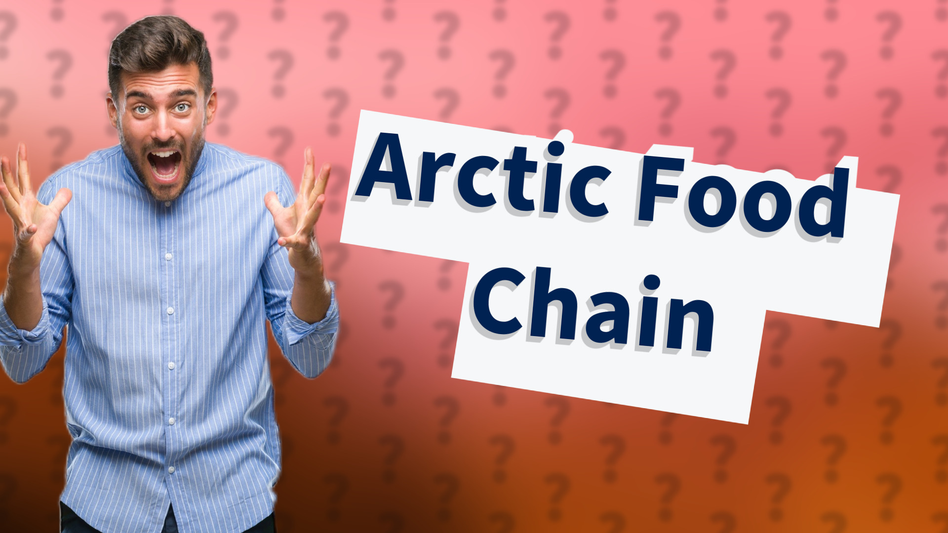 Arctic Food Chain