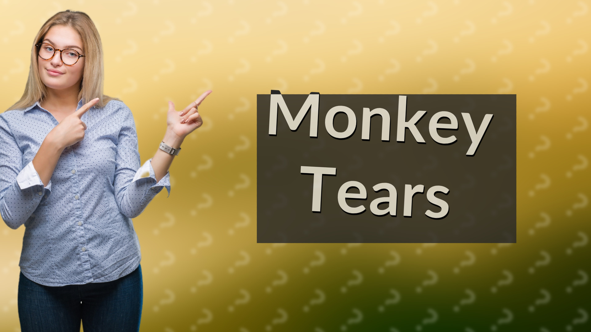 Monkey Tears