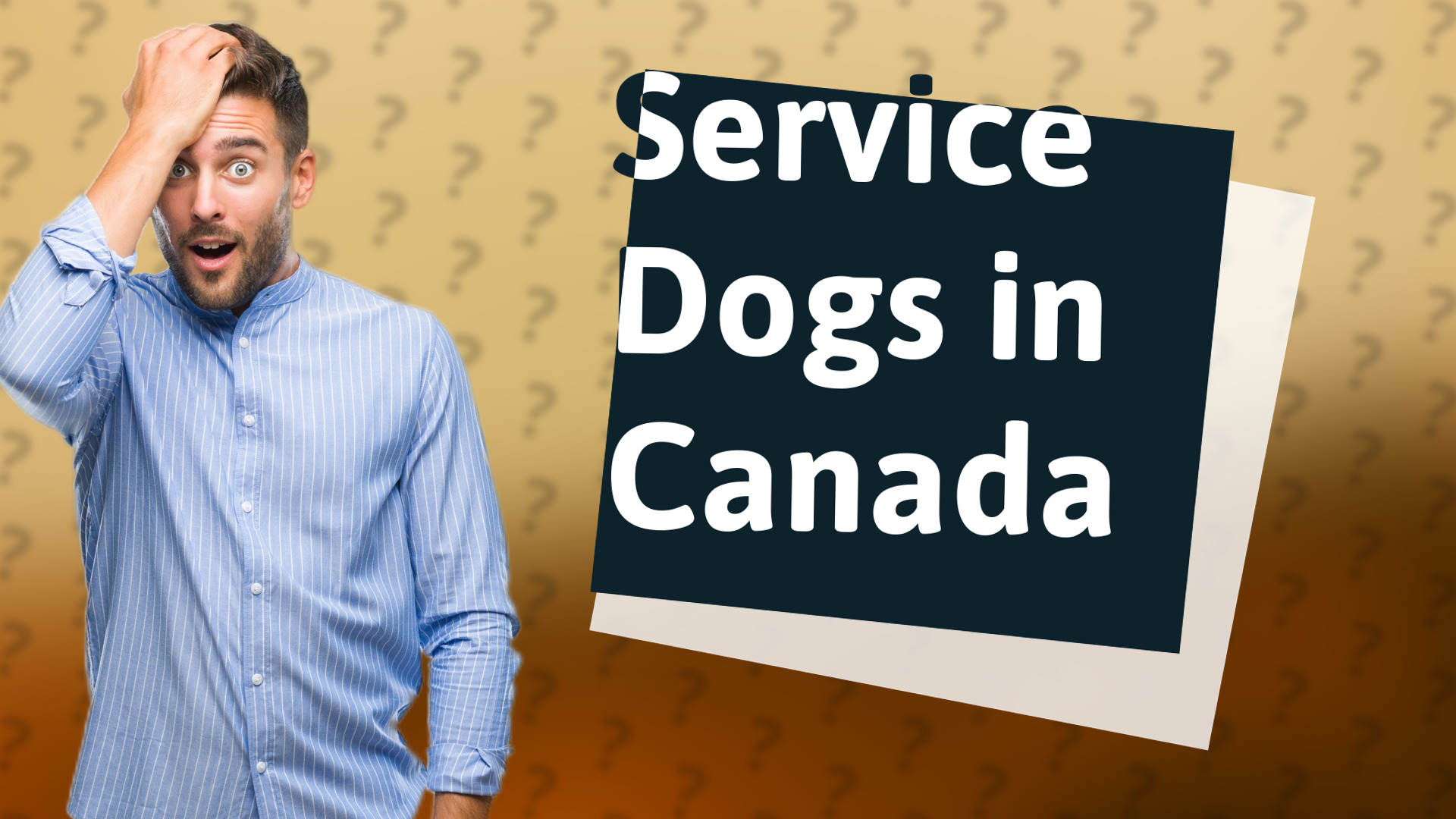 Service Dogs in Canada