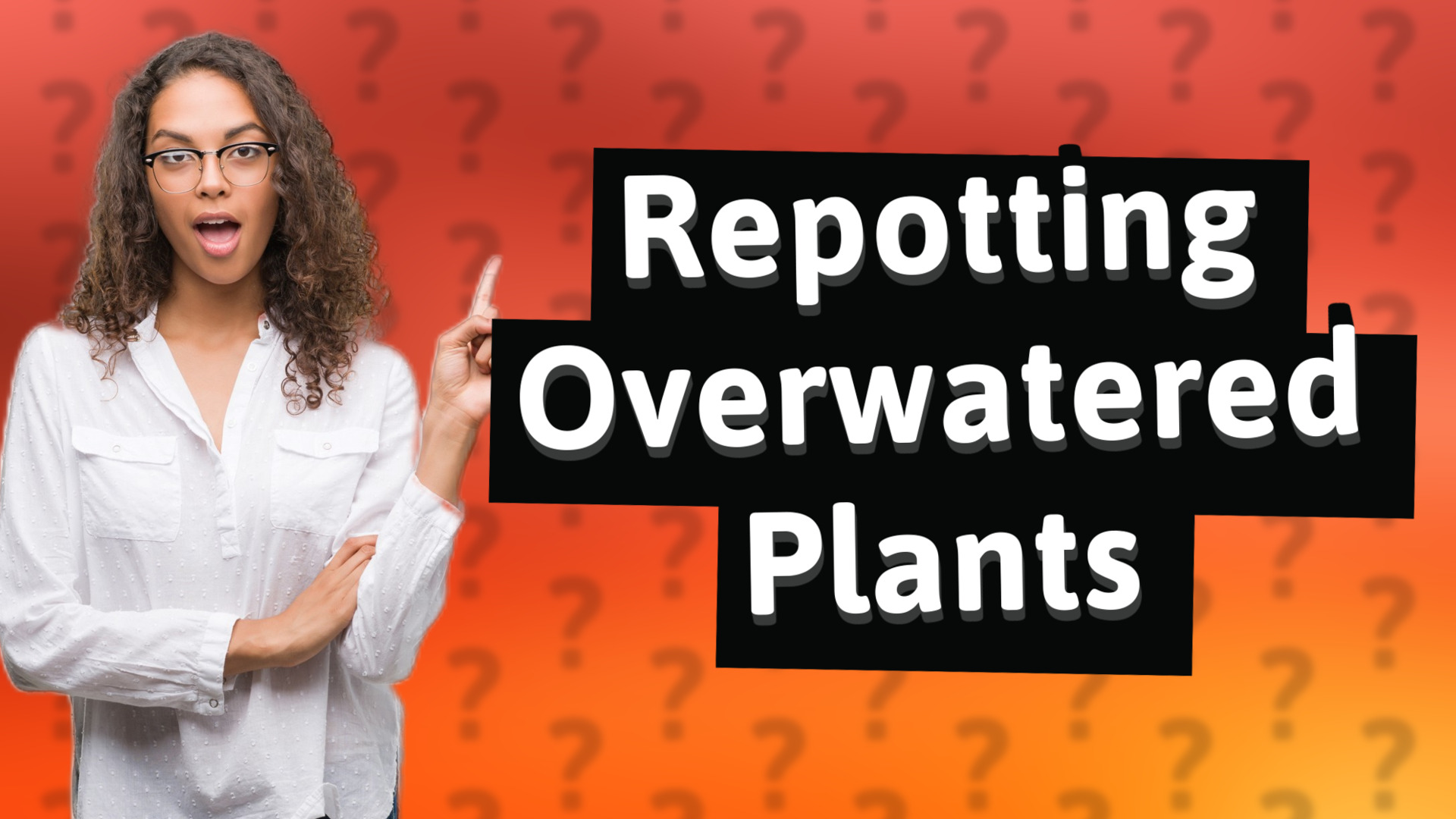 Repotting Overwatered Plants
