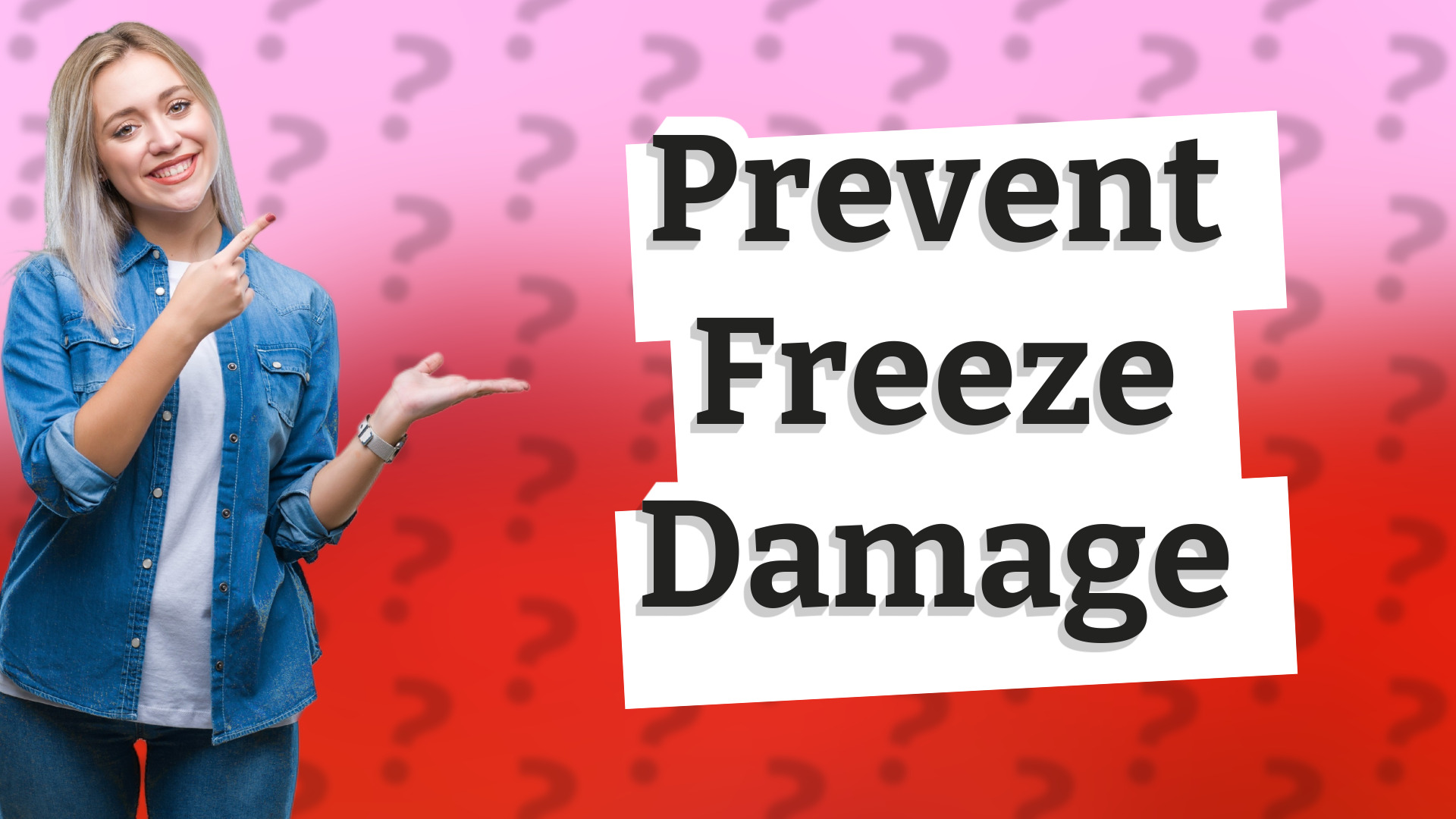 Prevent Freeze Damage
