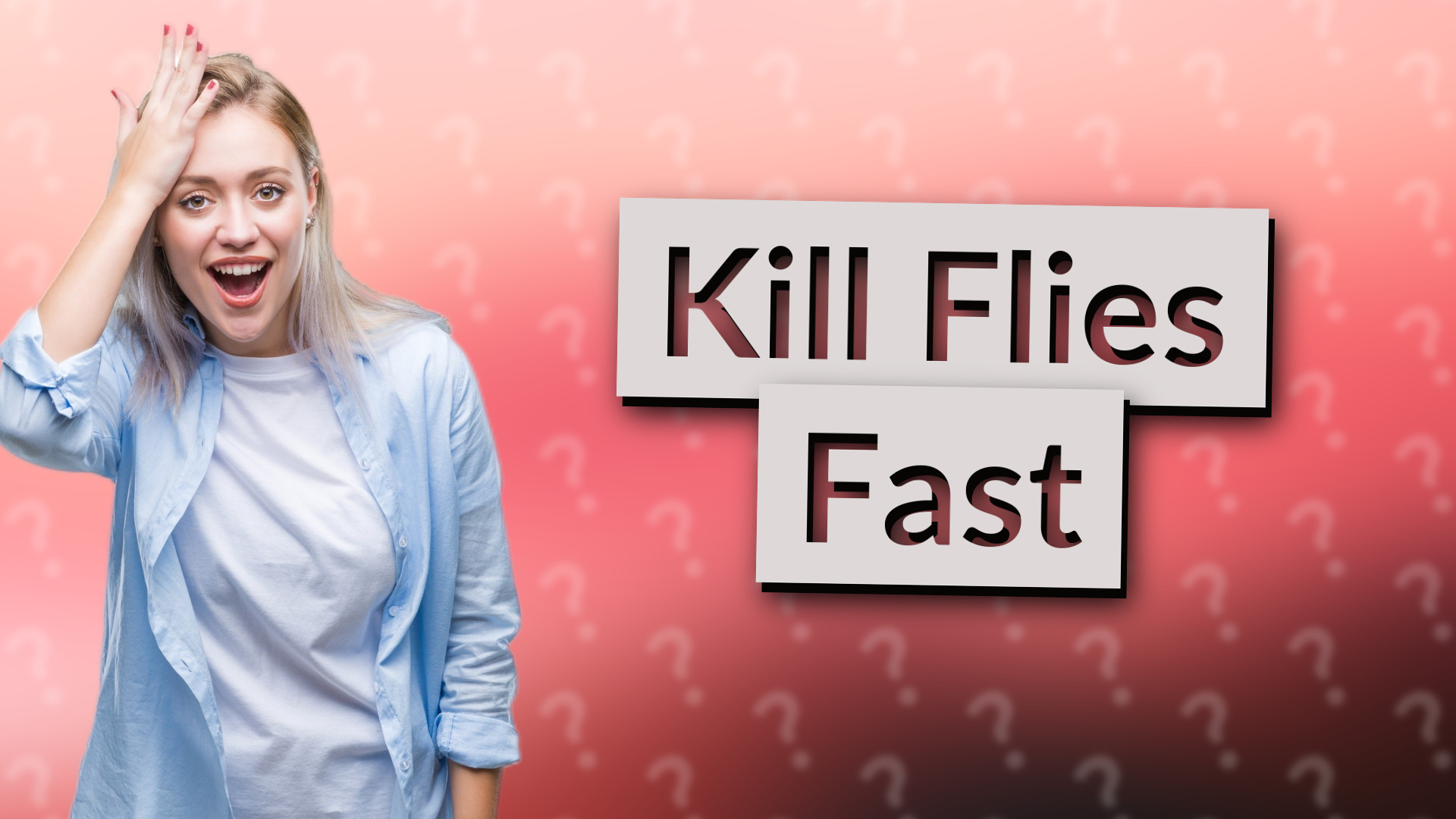Kill Flies Fast
