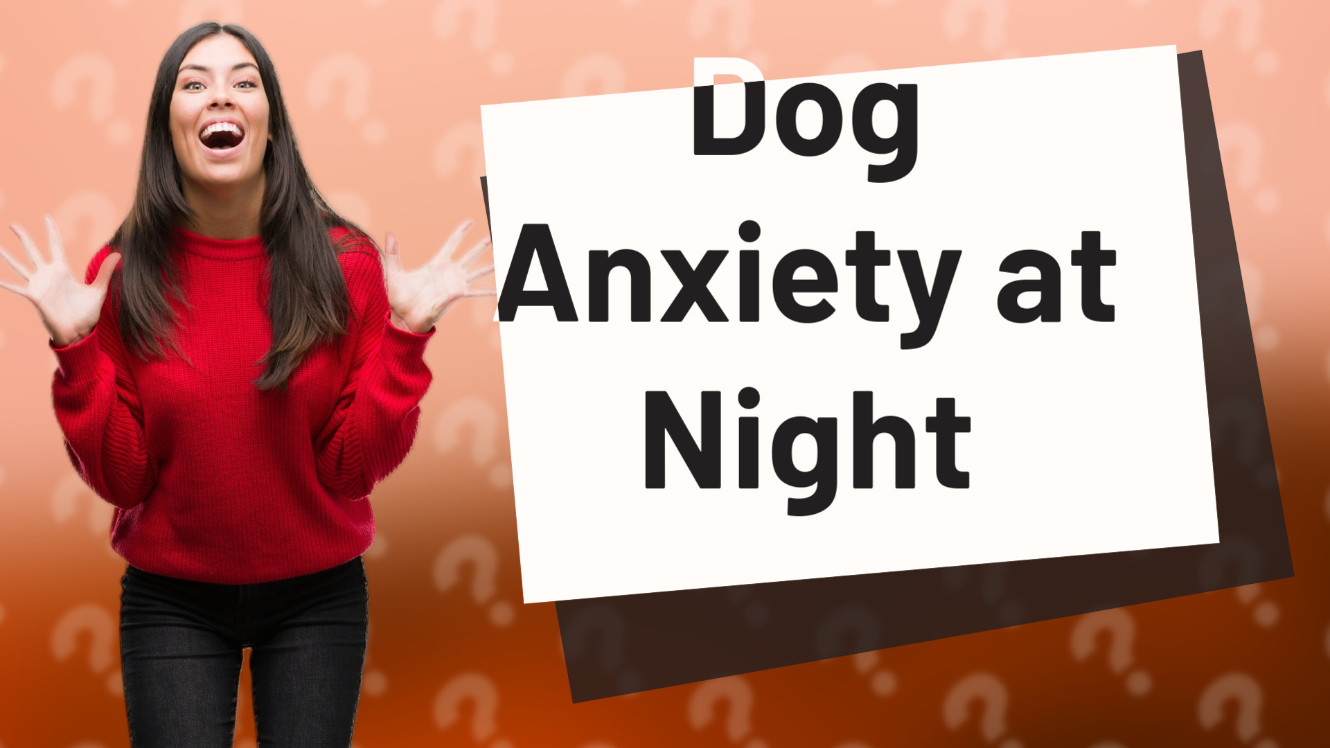 Dog Anxiety at Night