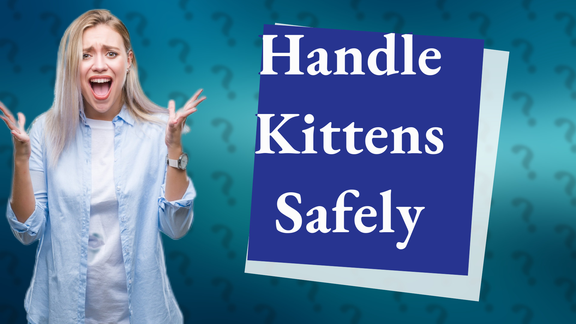 Handle Kittens Safely