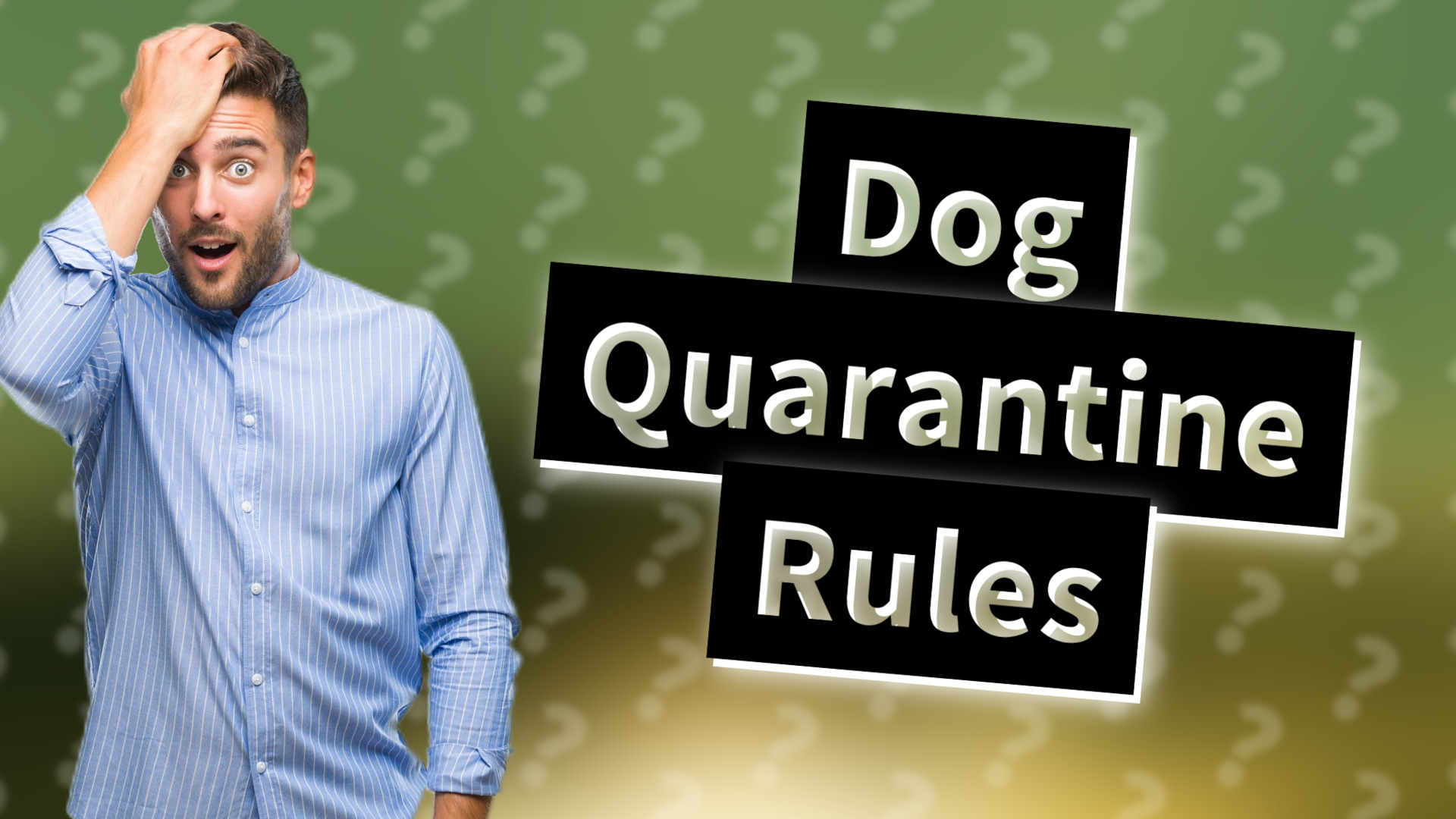 Dog Quarantine Rules