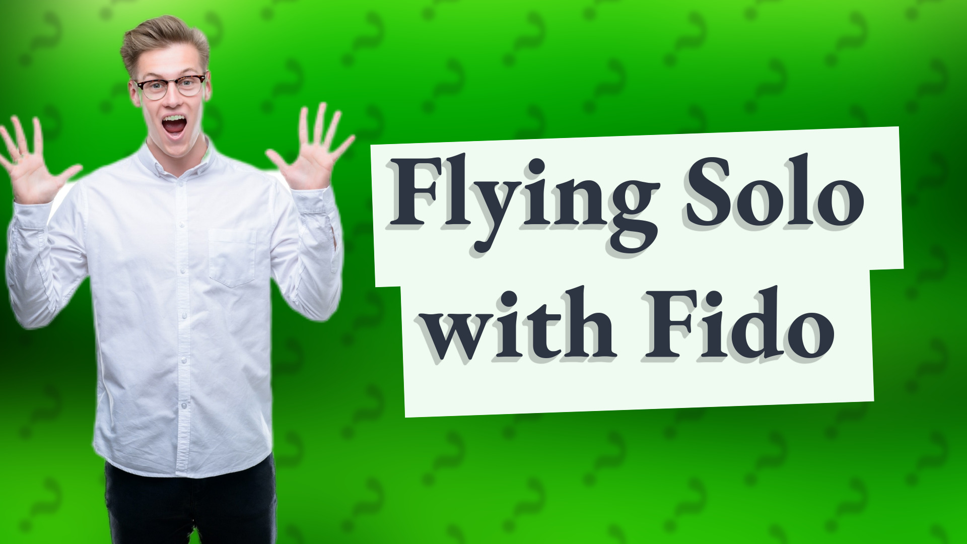 Flying Solo with Fido