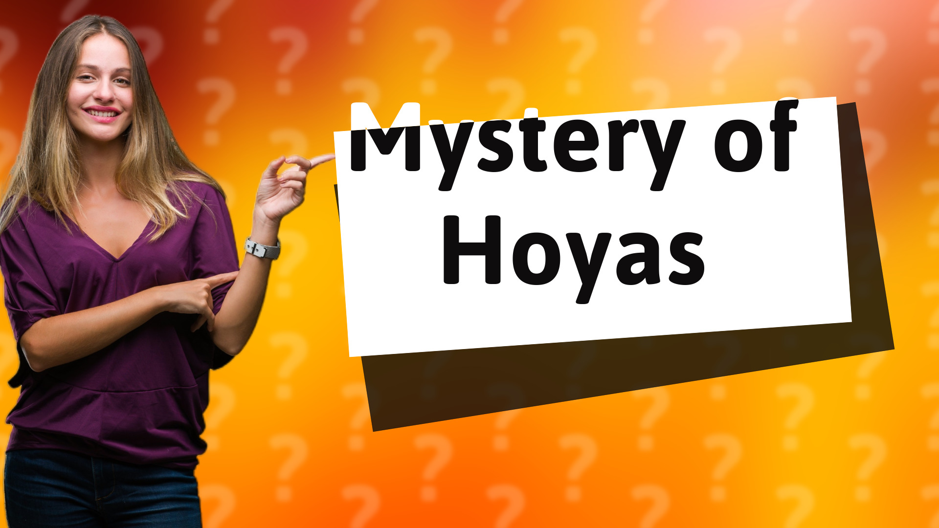 Mystery of Hoyas