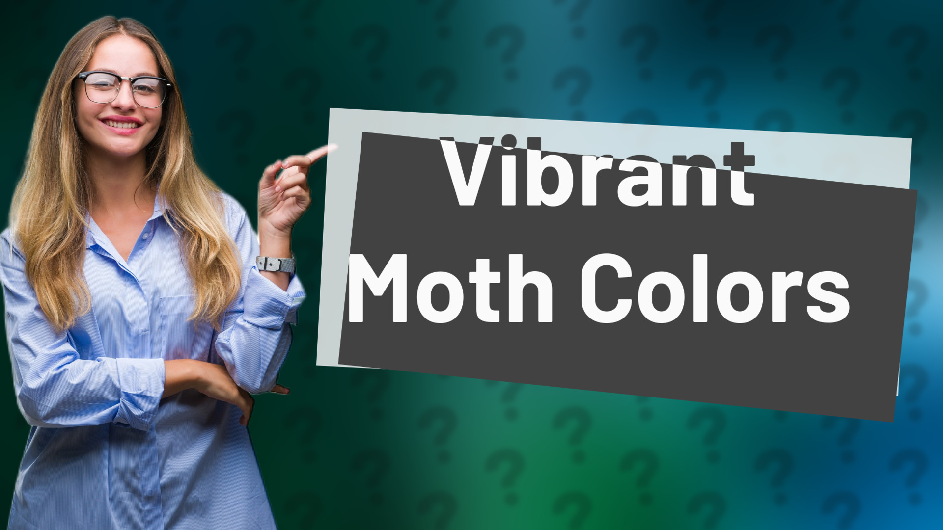 Vibrant Moth Colors