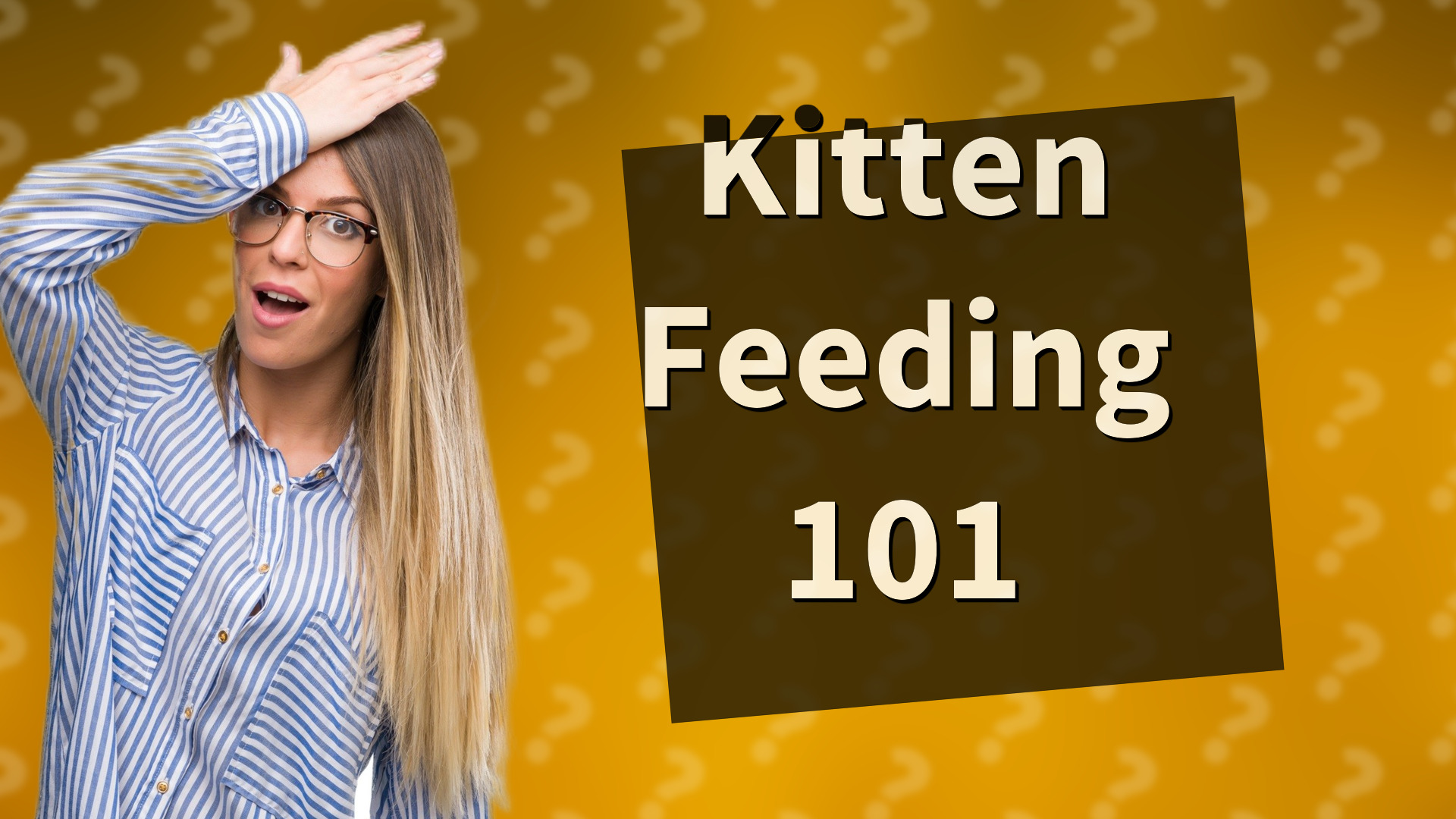 Kitten Feeding 101