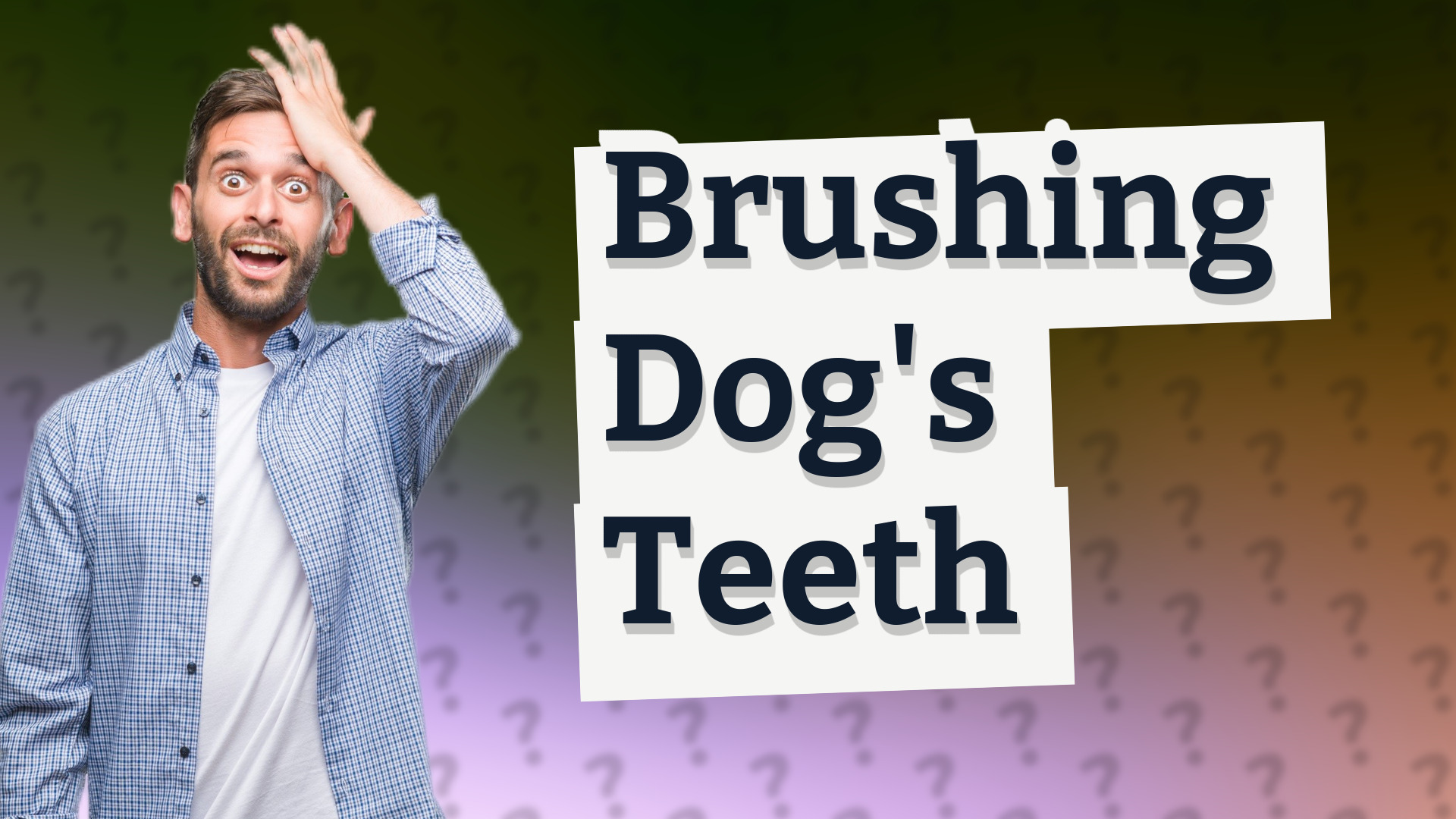 Brushing Dog's Teeth