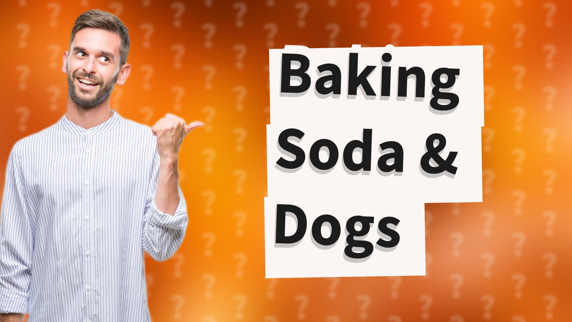 Baking Soda & Dogs