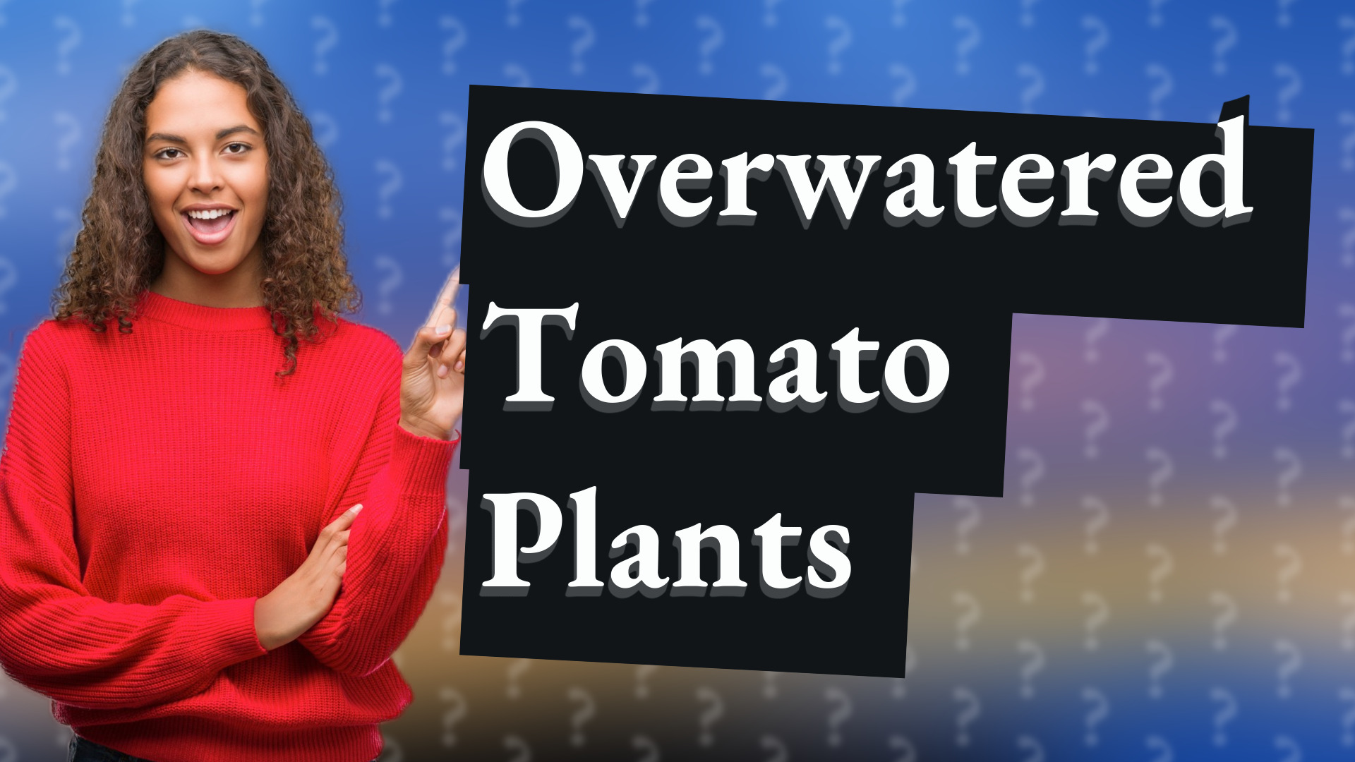 Overwatered Tomato Plants