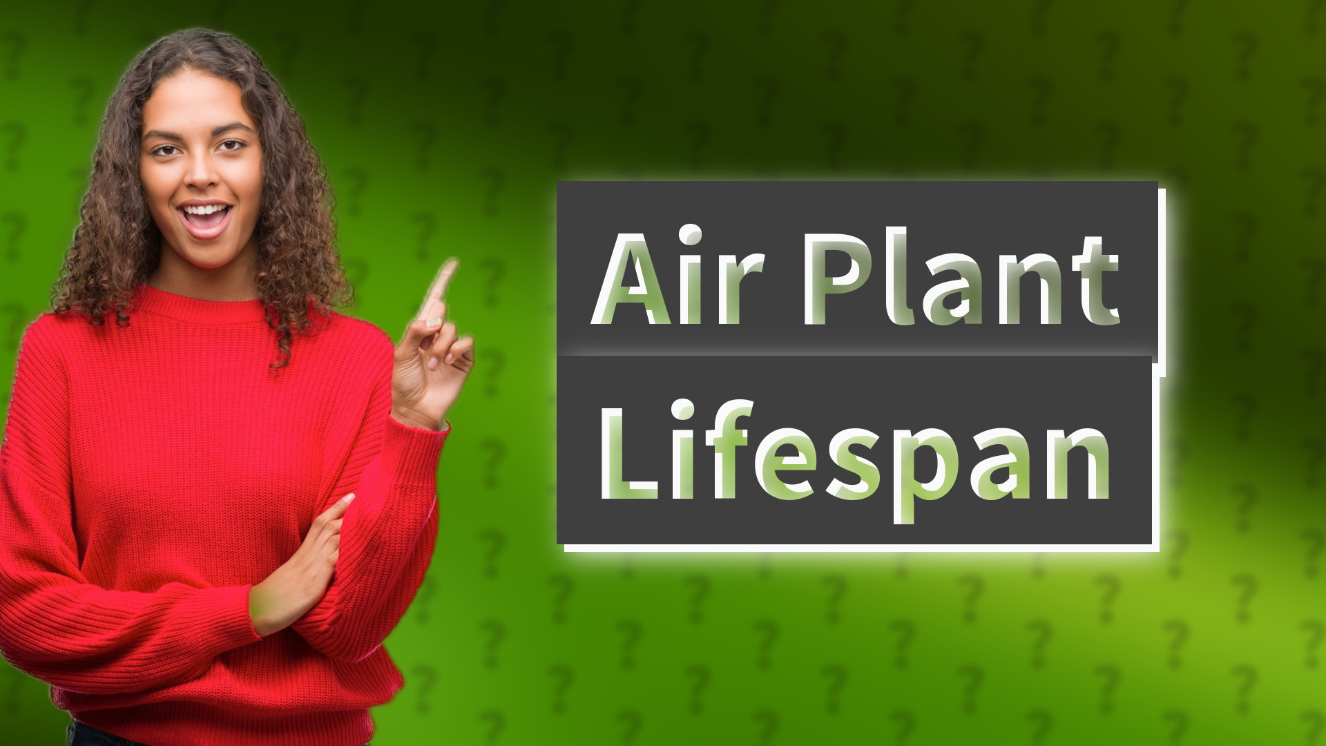 Air Plant Lifespan