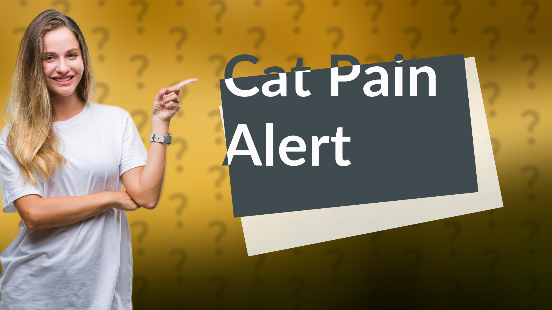 Cat Pain Alert