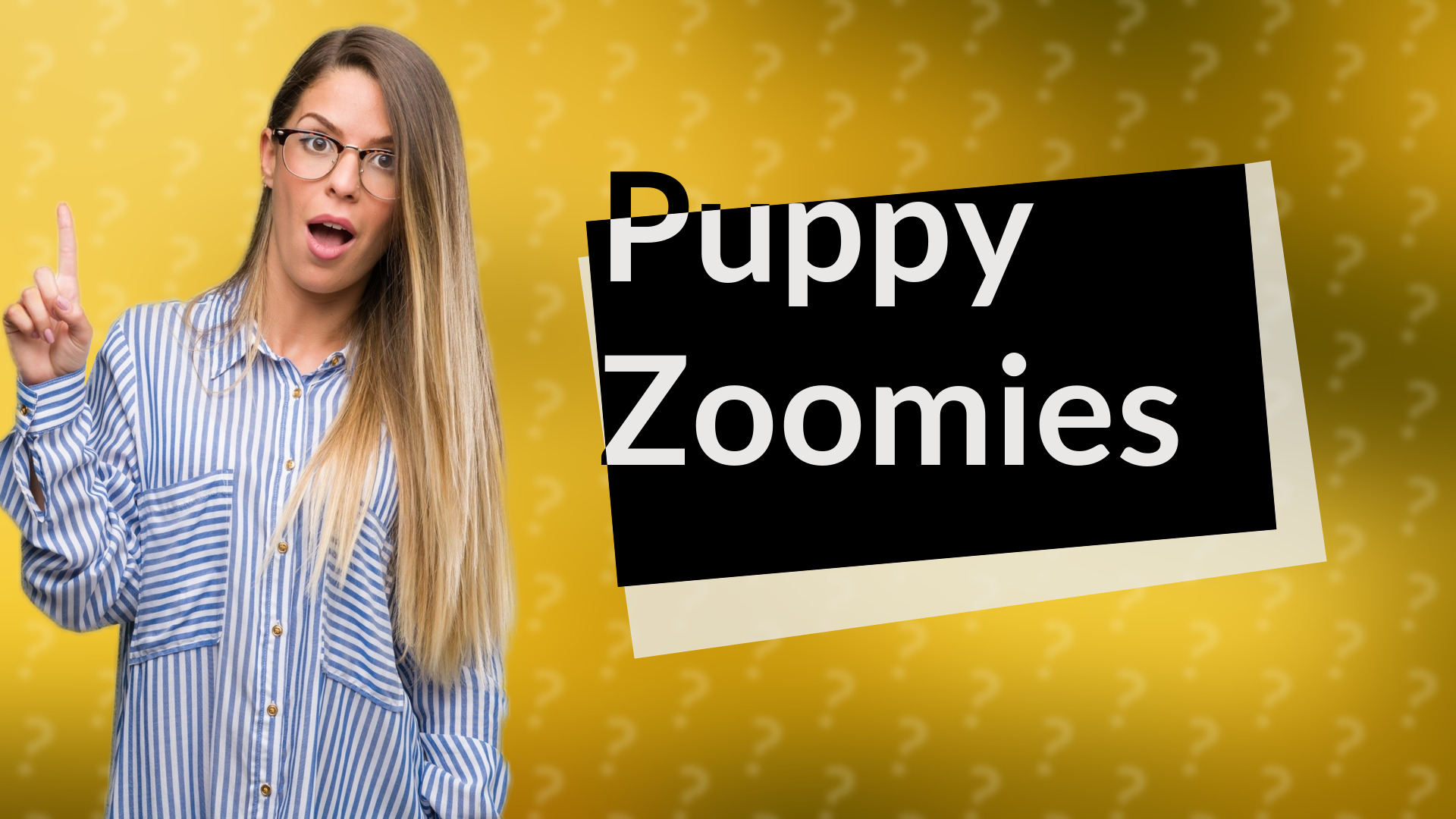 Puppy Zoomies