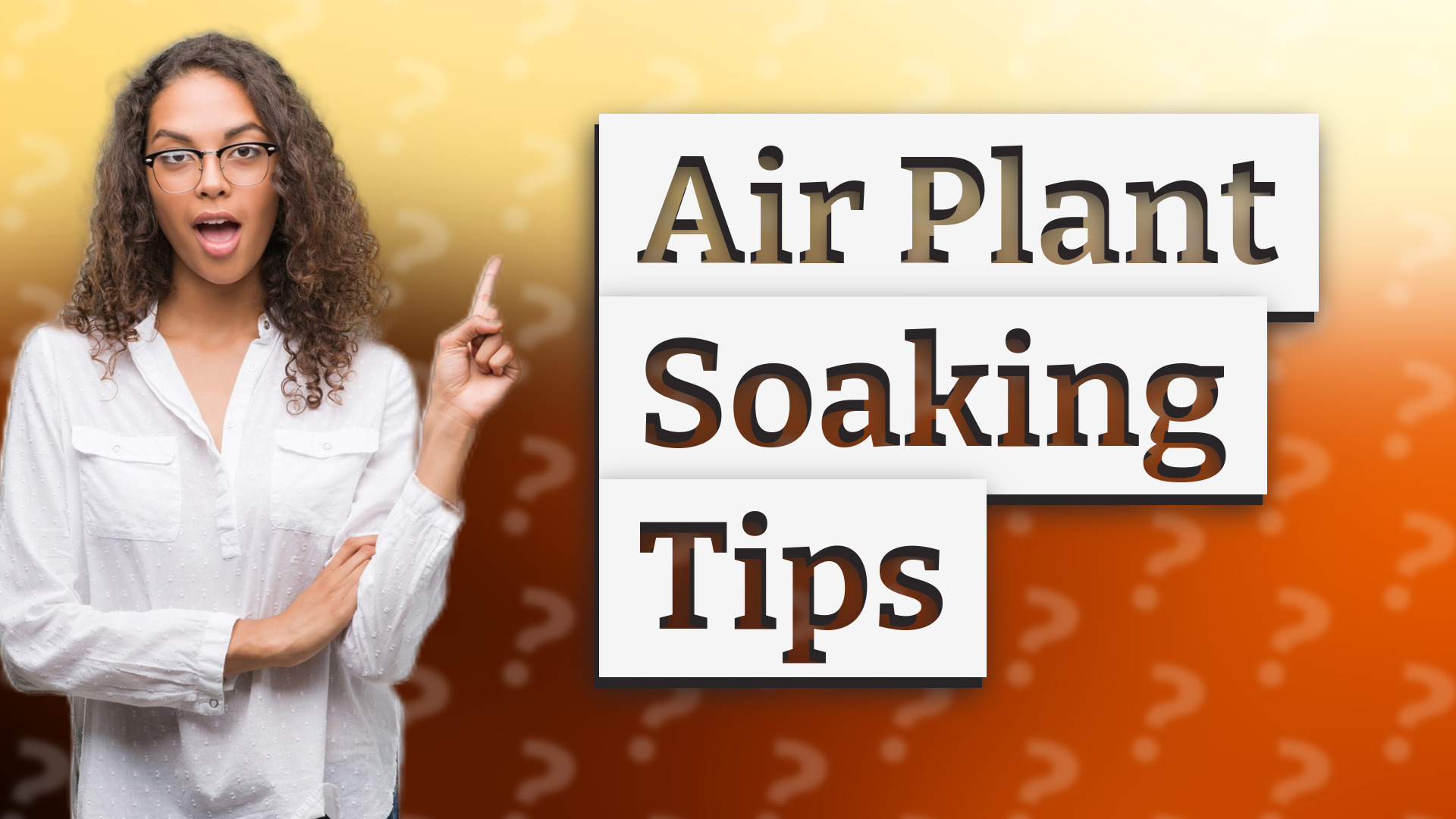 Air Plant Soaking Tips
