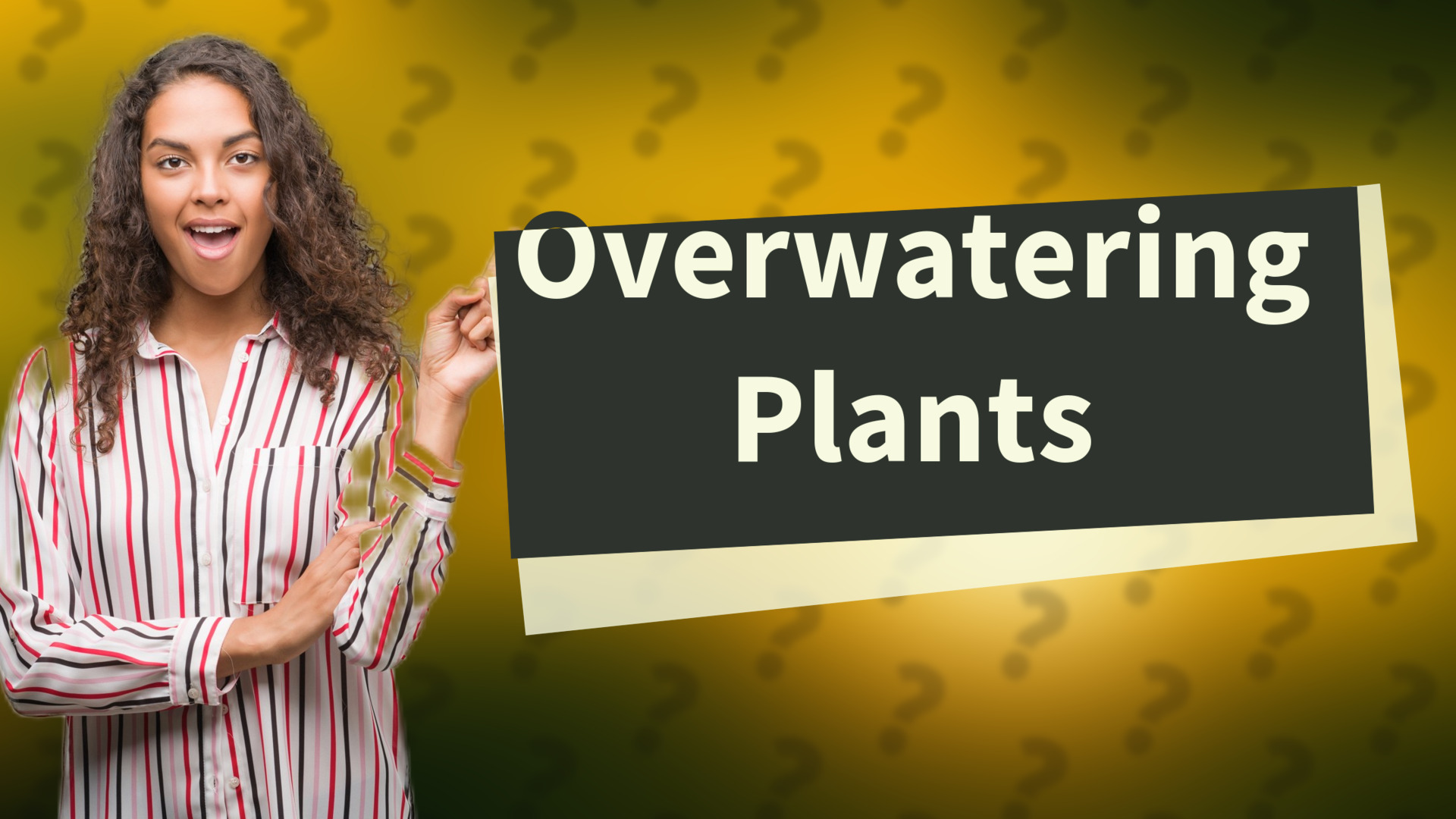 Overwatering Plants
