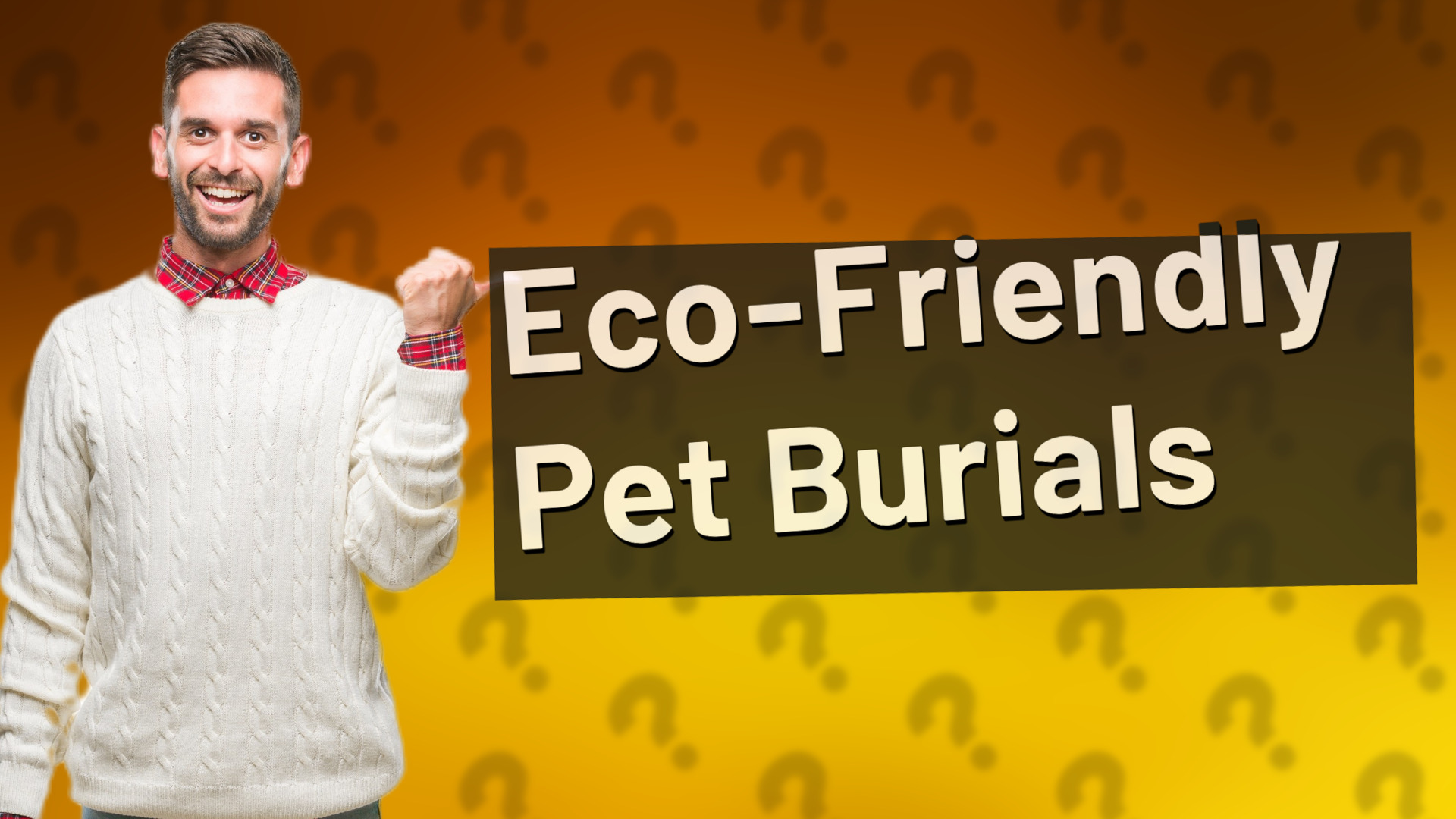Eco-Friendly Pet Burials