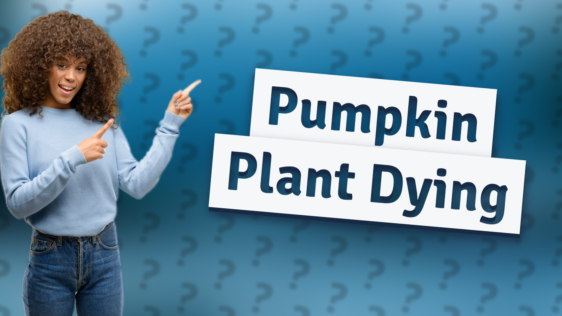 Pumpkin Plant Dying