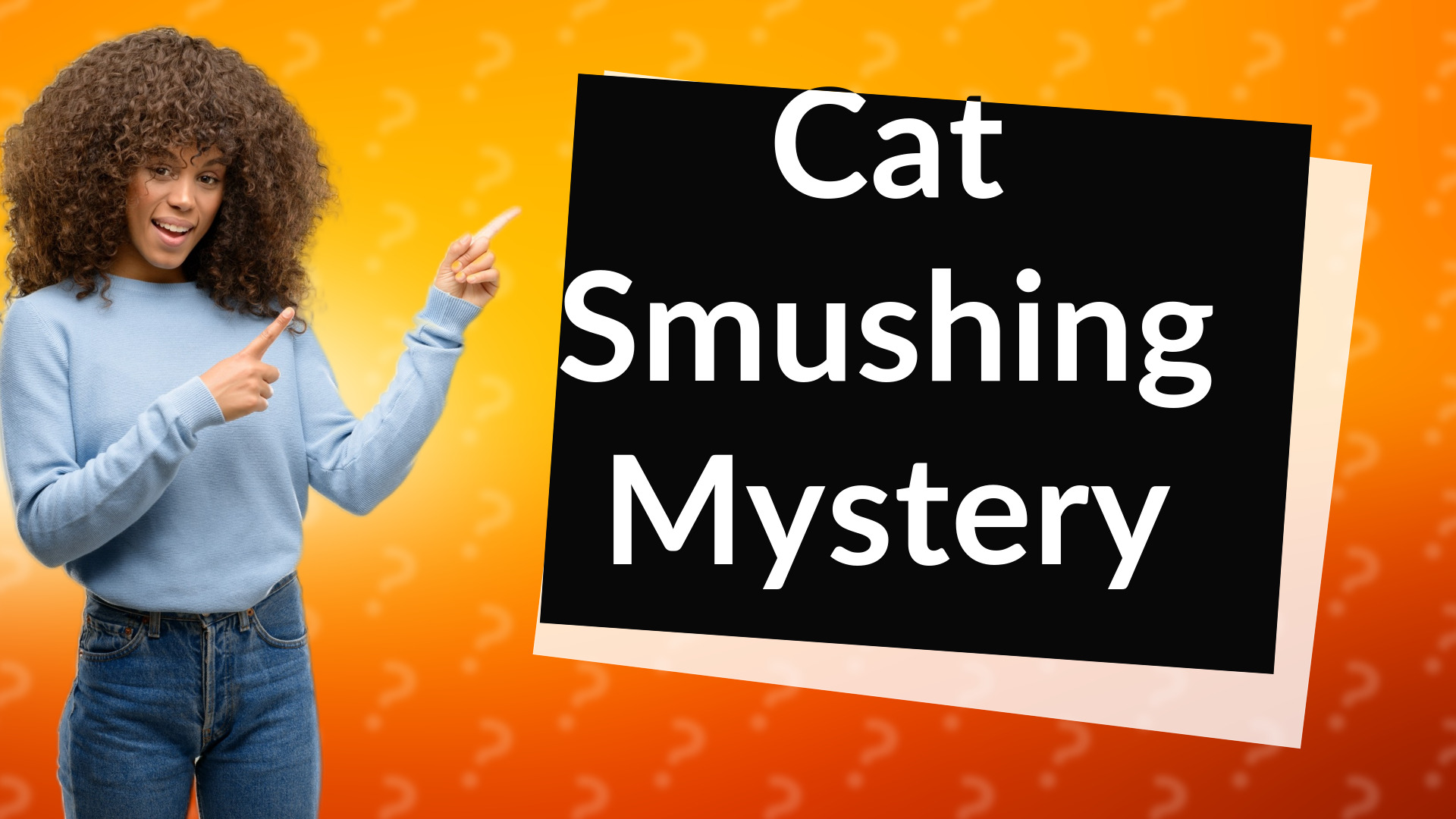 Cat Smushing Mystery