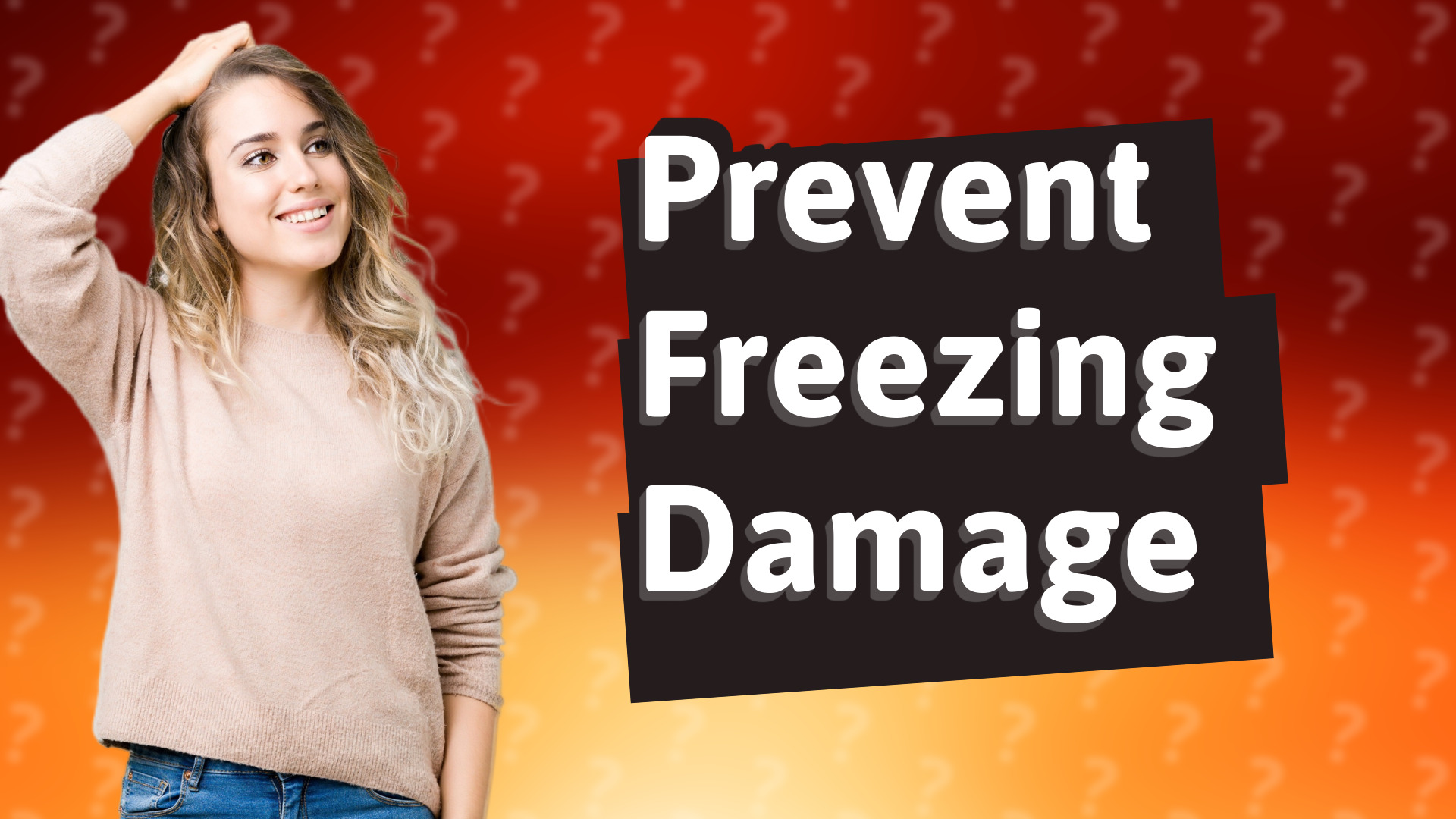Prevent Freezing Damage