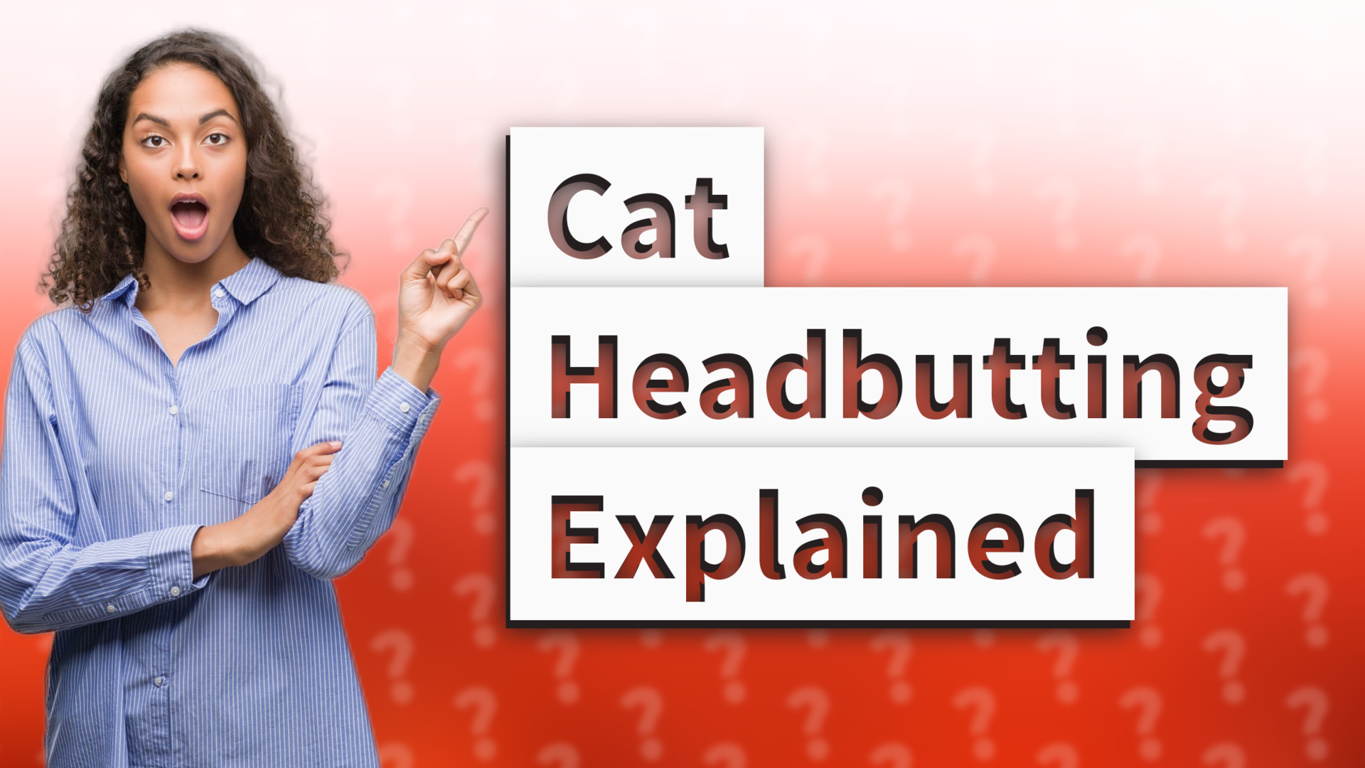 Cat Headbutting Explained