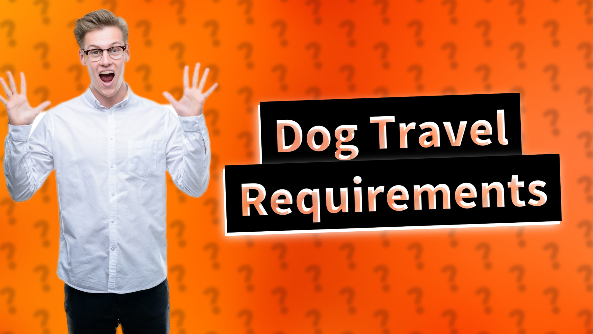Dog Travel Requirements