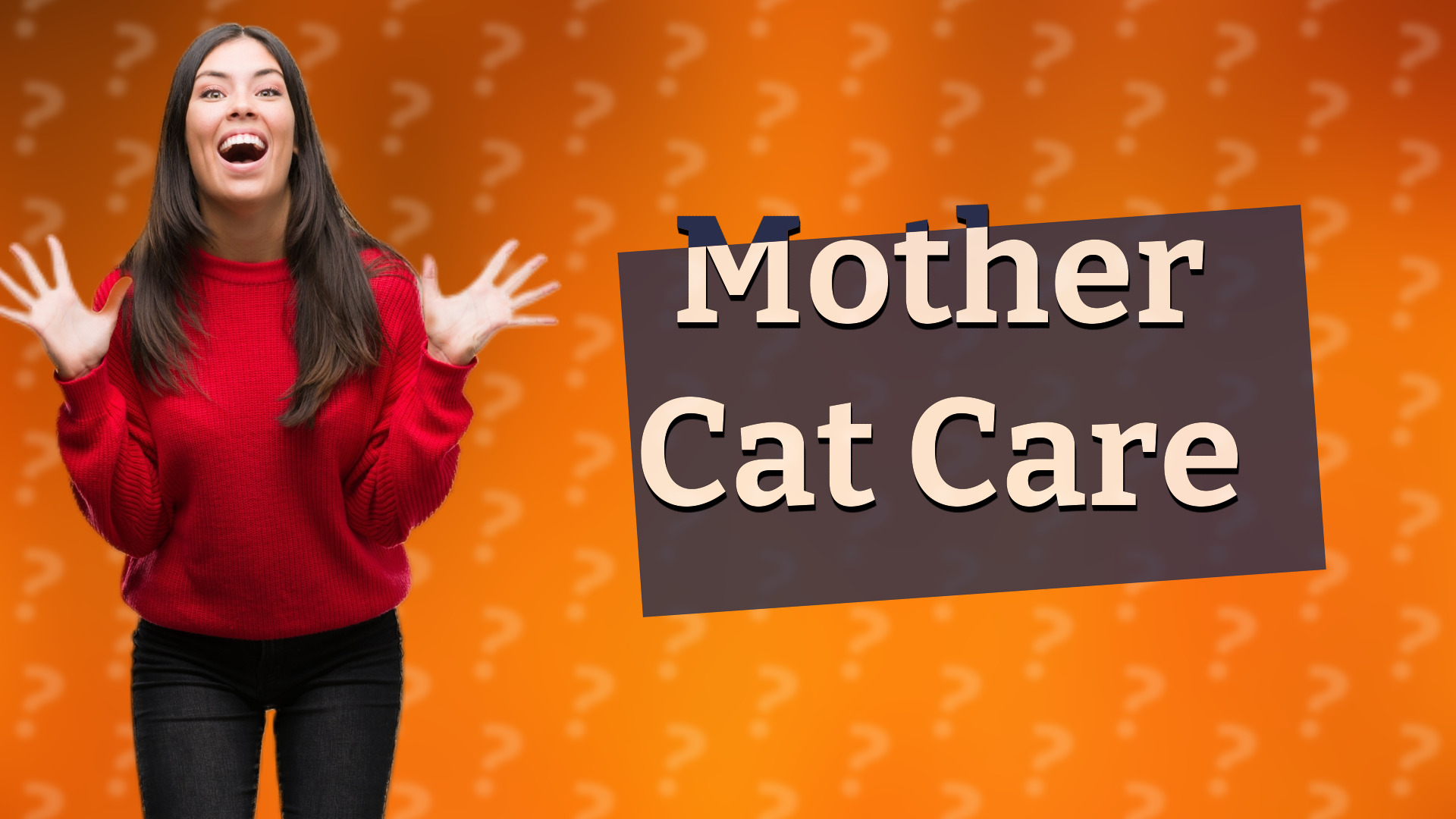 Mother Cat Care