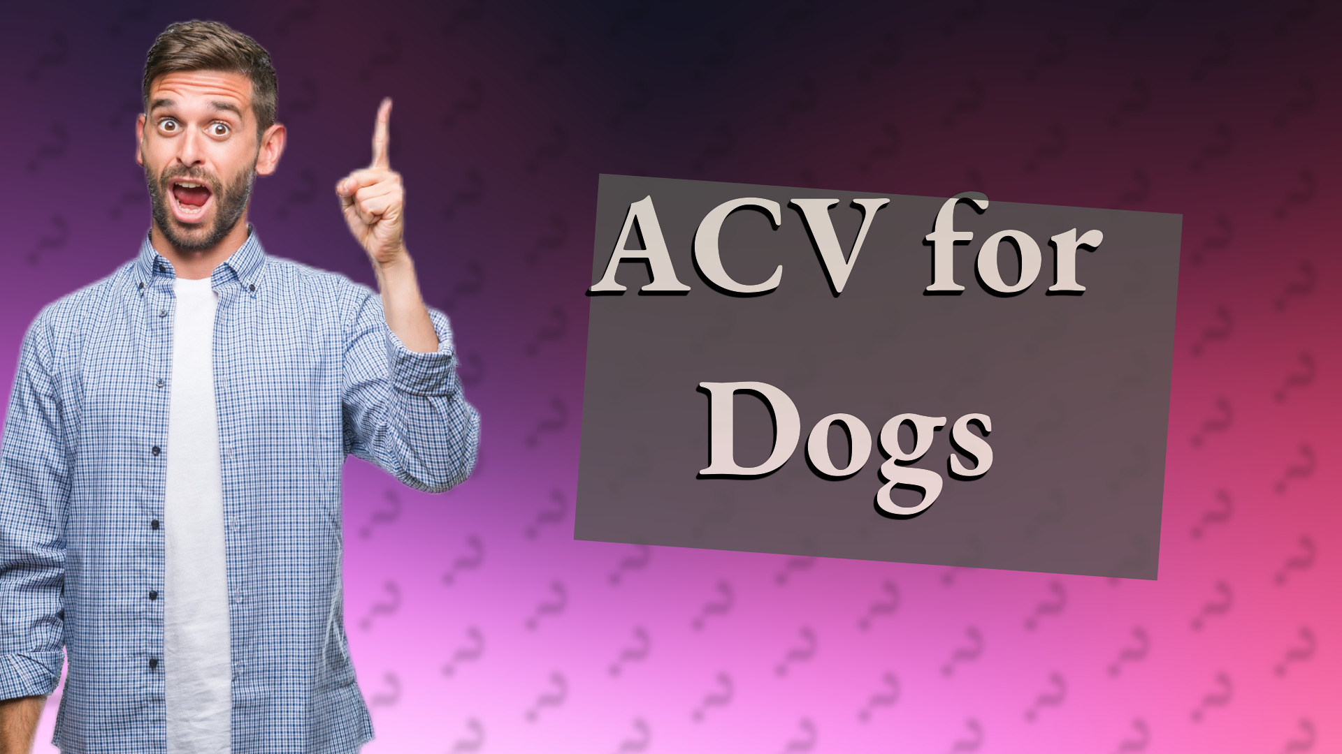 ACV for Dogs