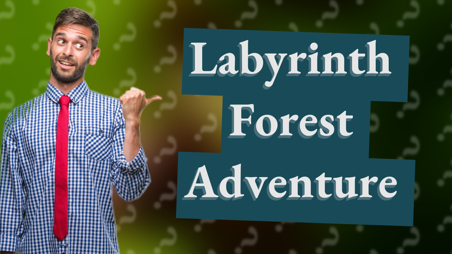 Labyrinth Forest Adventure