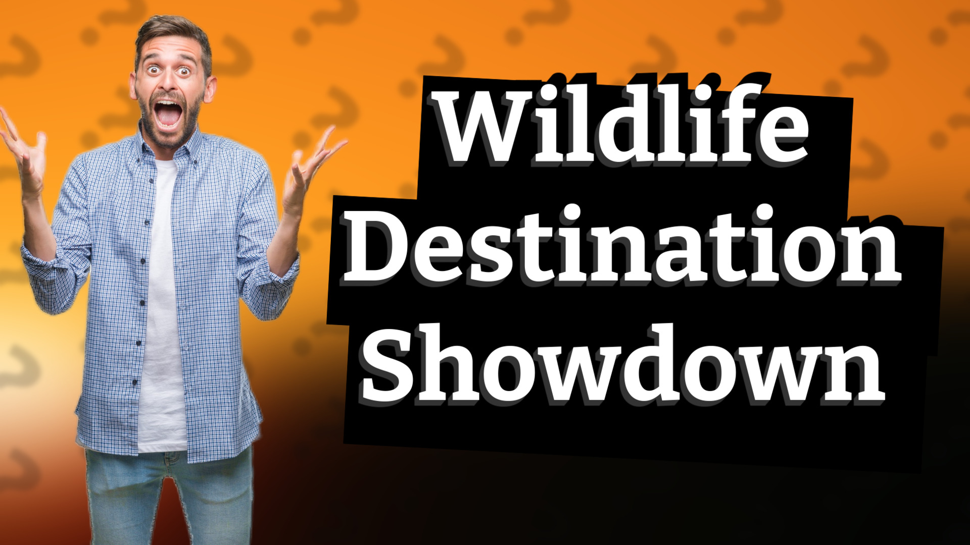Wildlife Destination Showdown