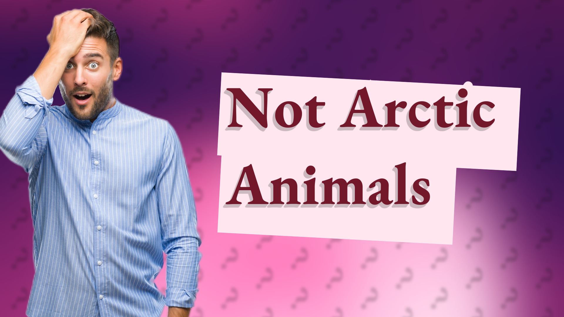 Not Arctic Animals