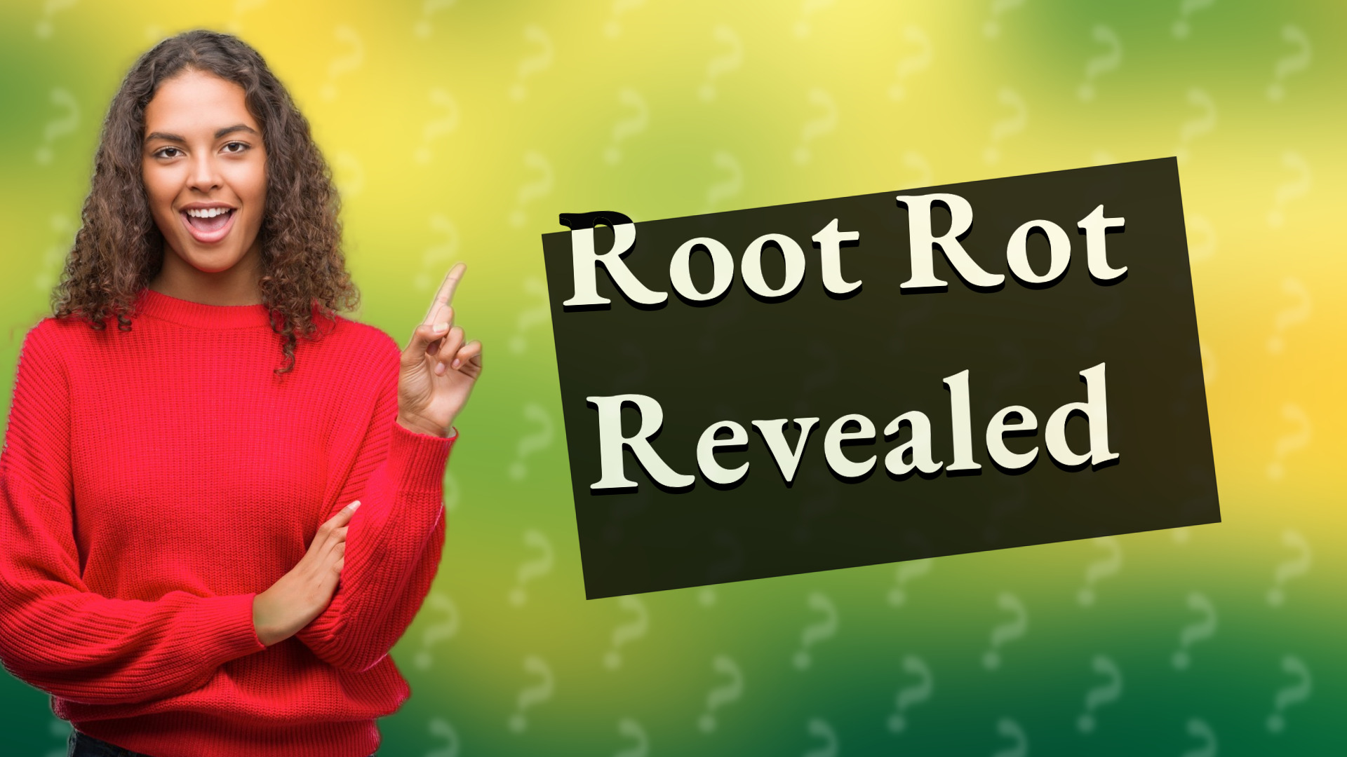 Root Rot Revealed