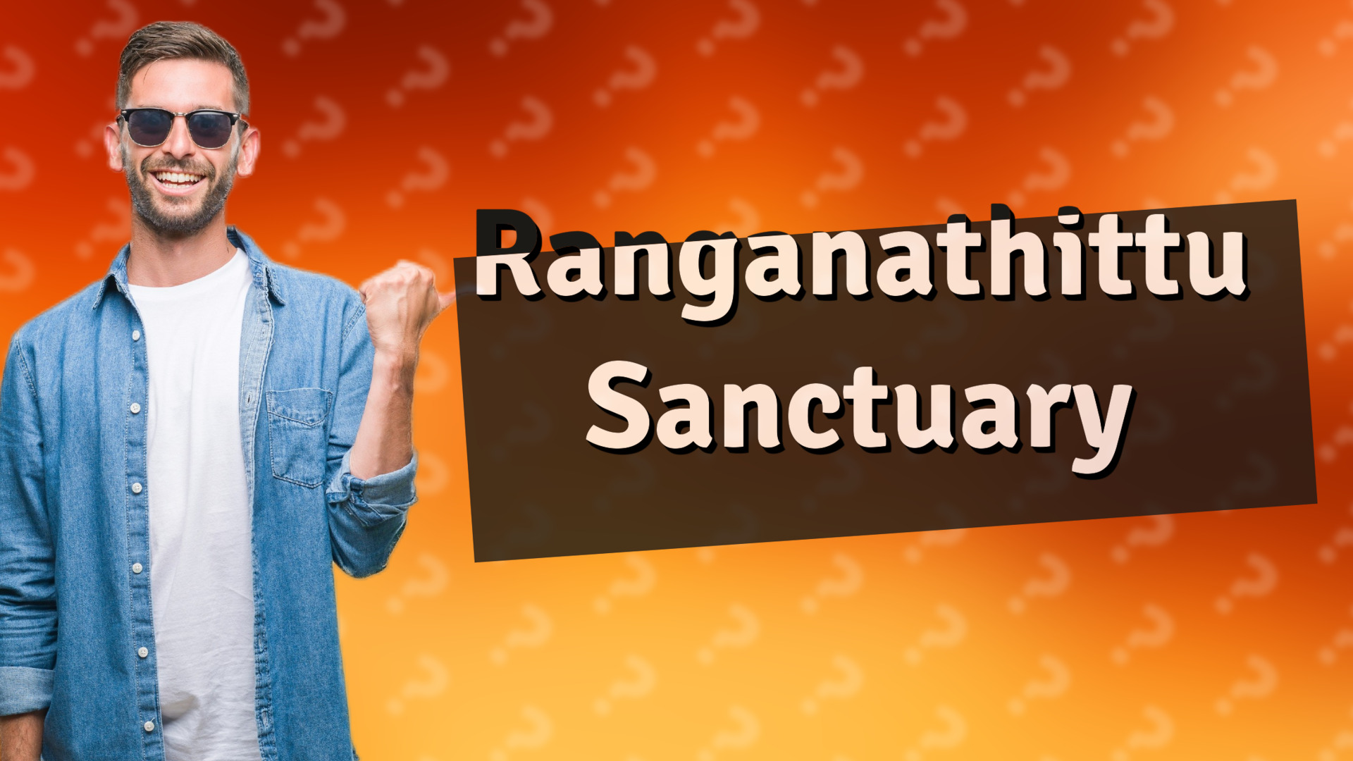Ranganathittu Sanctuary