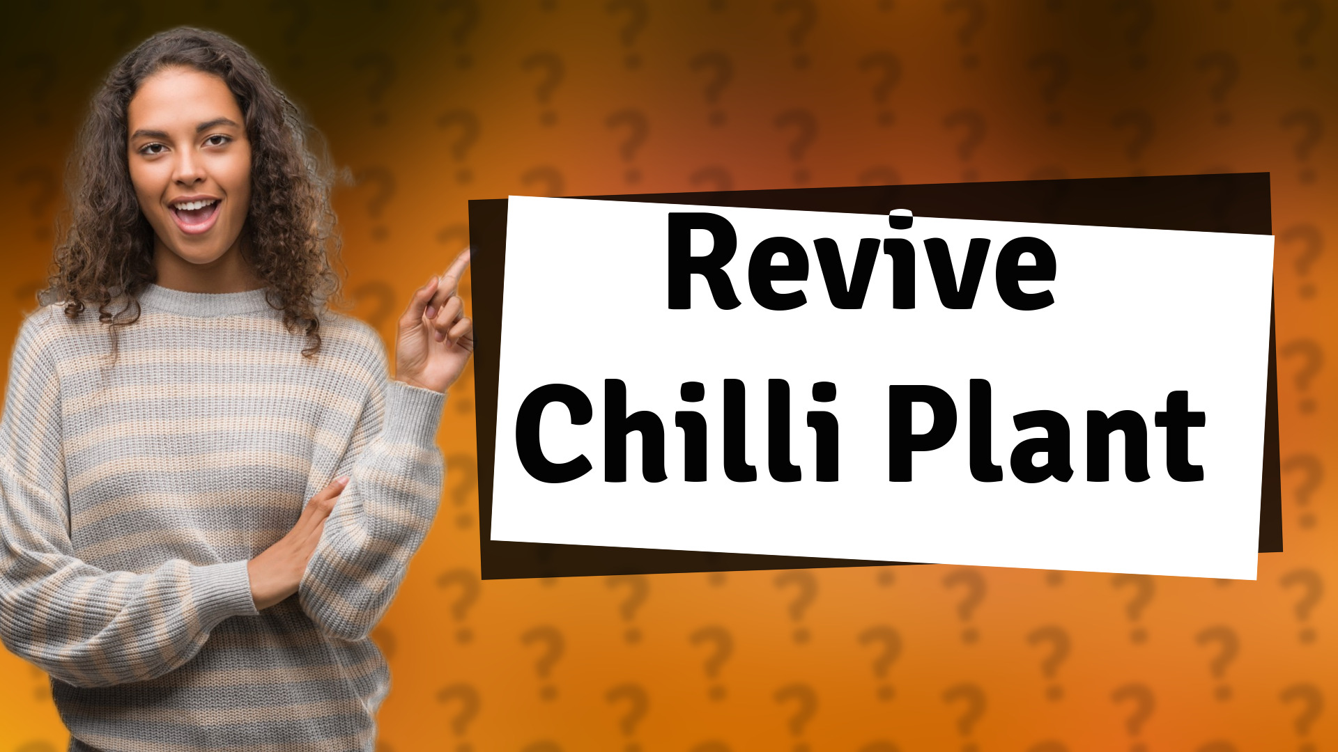 Revive Chilli Plant
