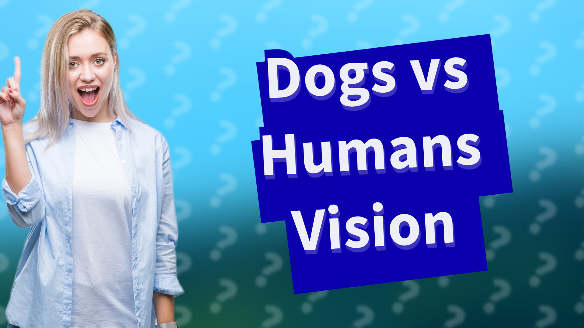 Dogs vs Humans Vision