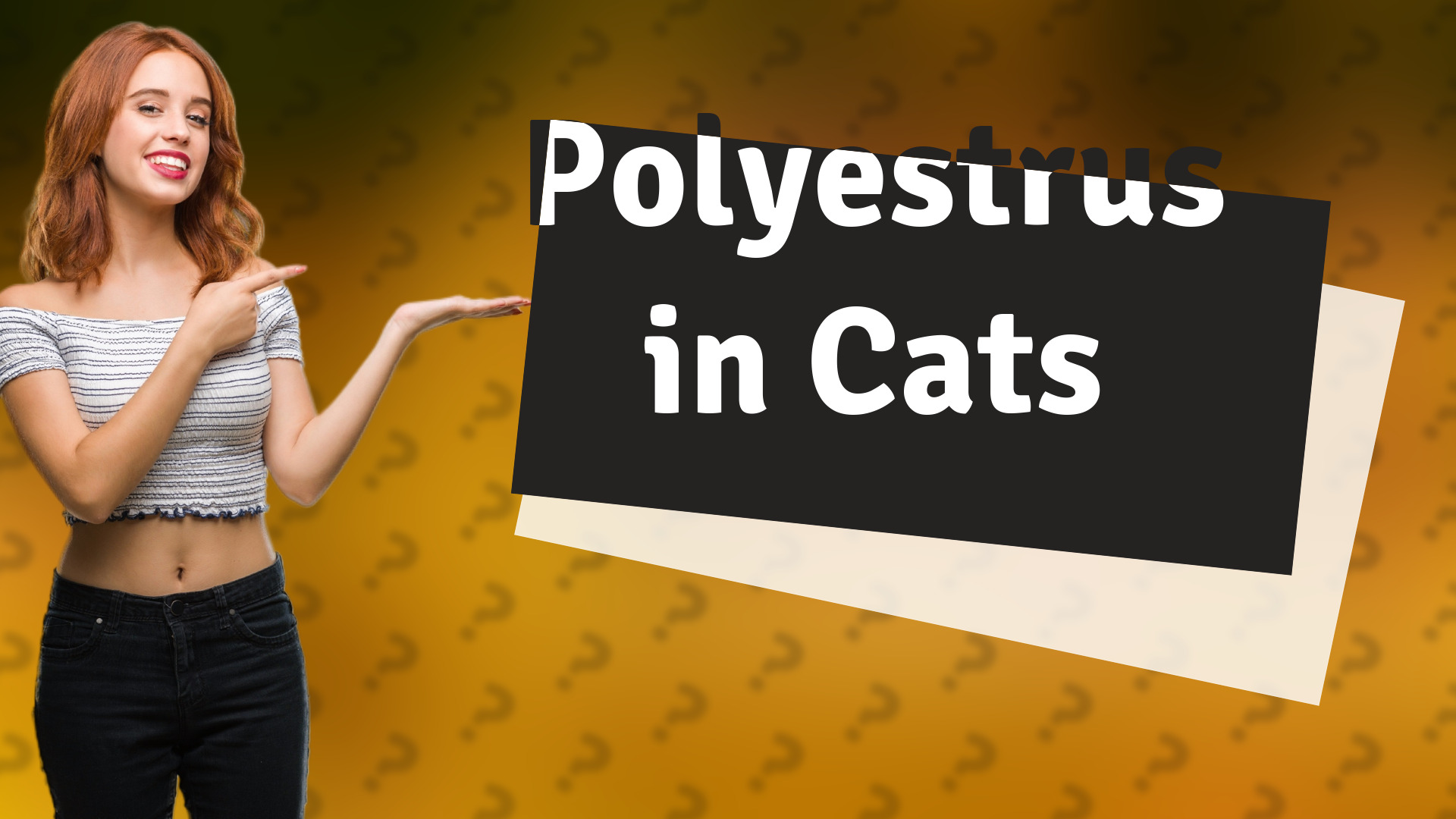 Polyestrus in Cats