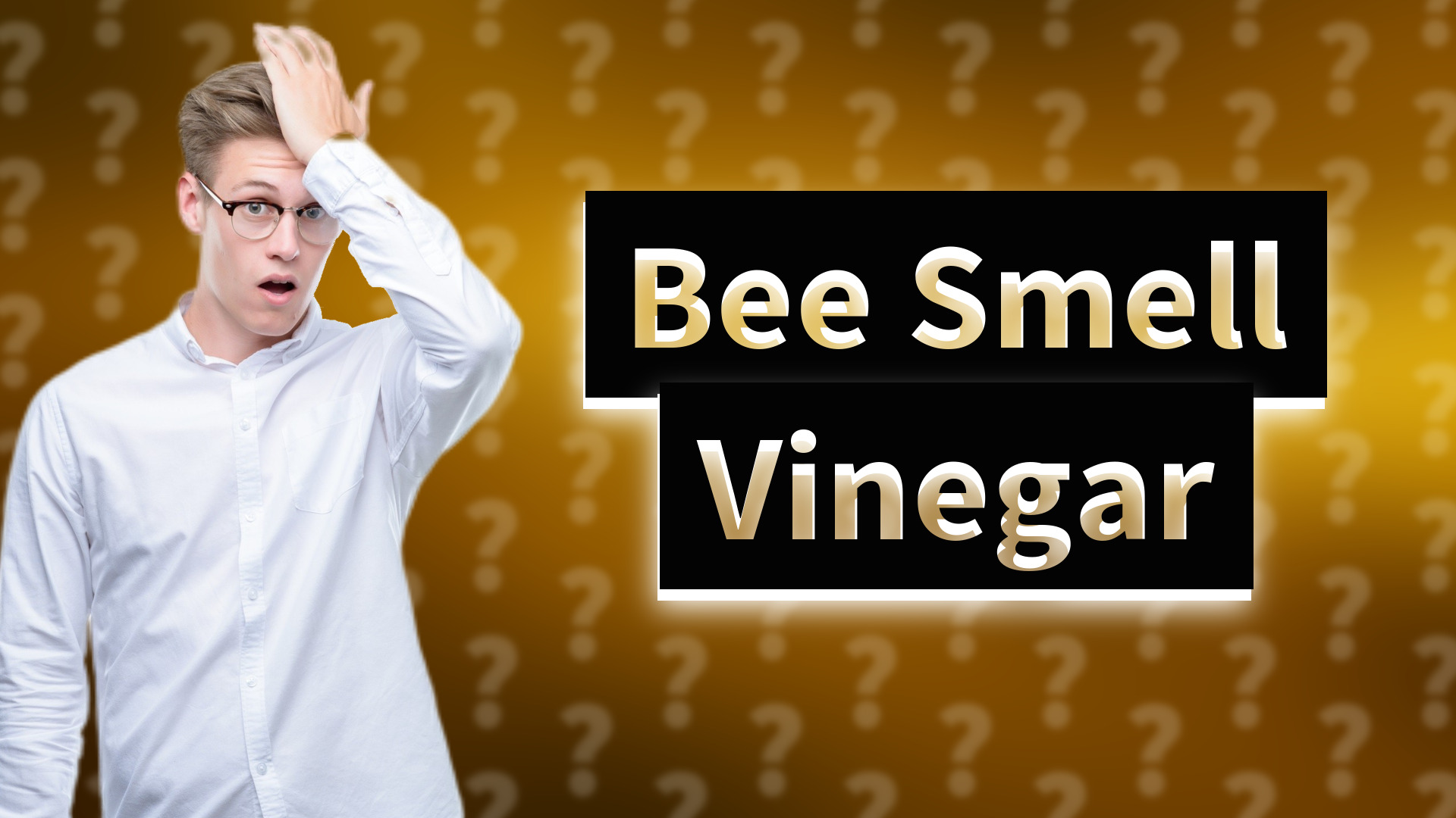 Bee Smell Vinegar