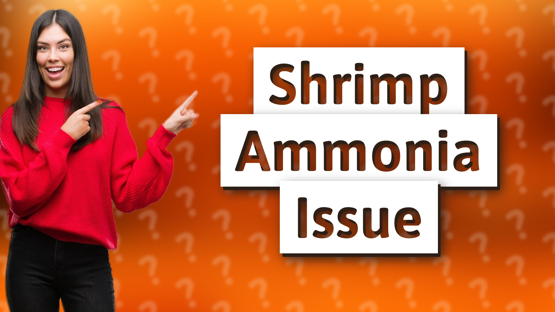 Shrimp Ammonia Issue