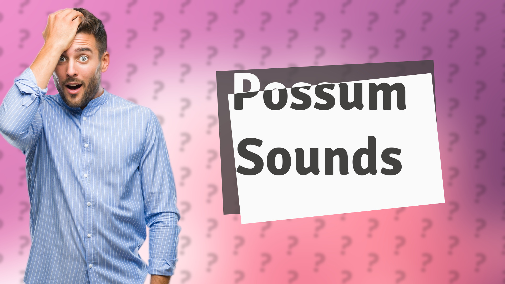 Possum Sounds