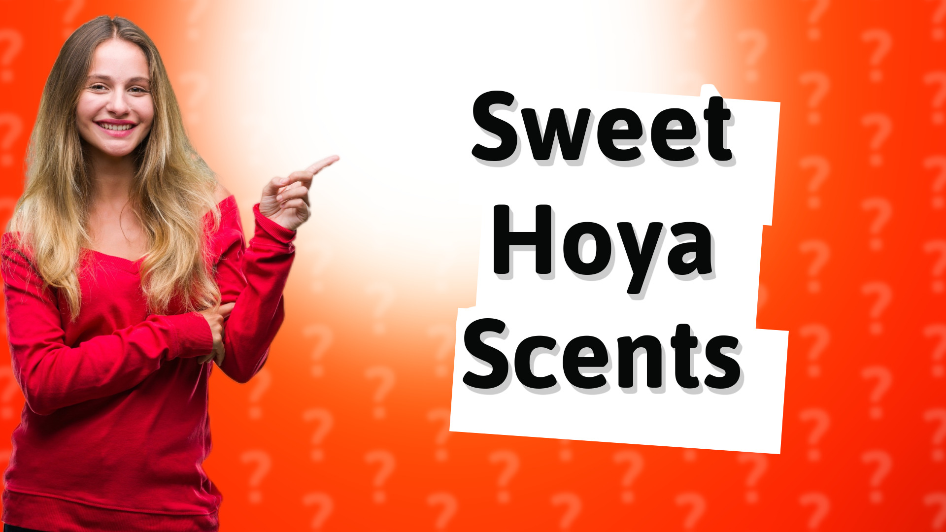 Sweet Hoya Scents