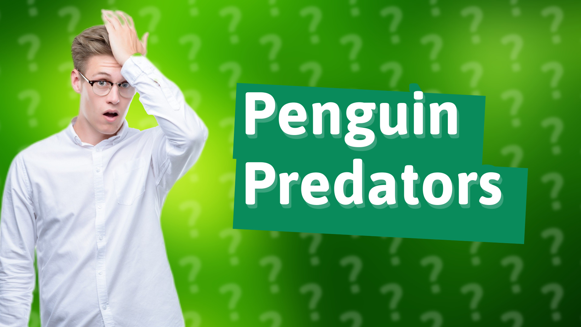 Penguin Predators