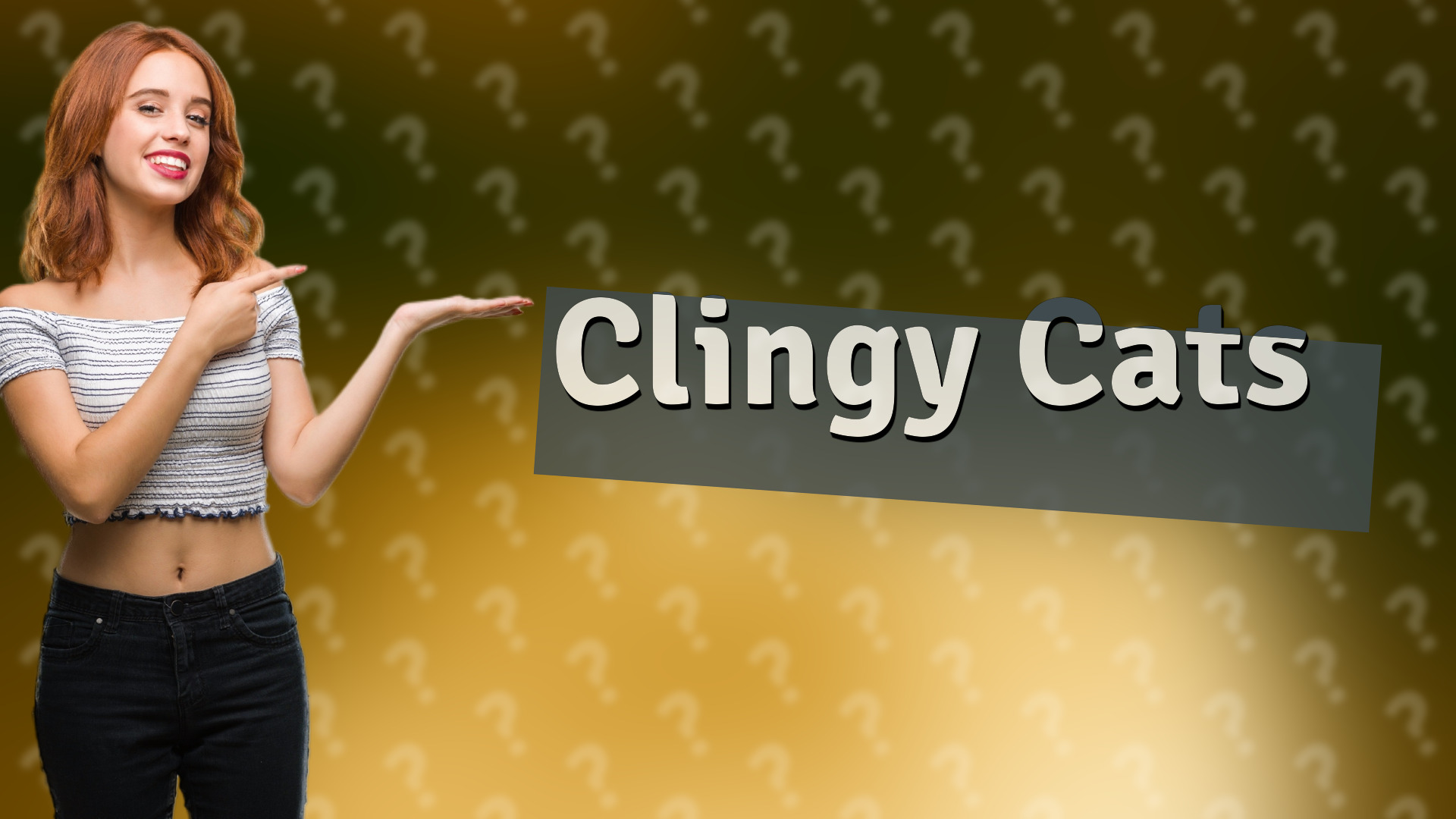 Clingy Cats