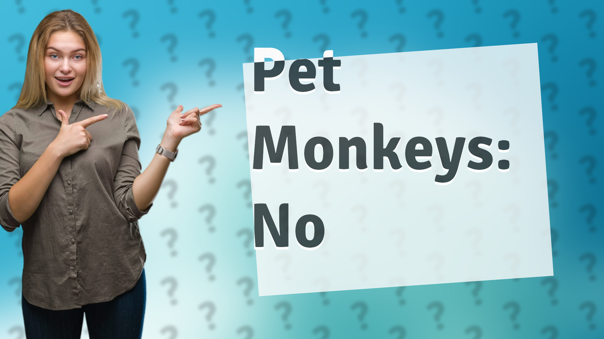Pet Monkeys: No