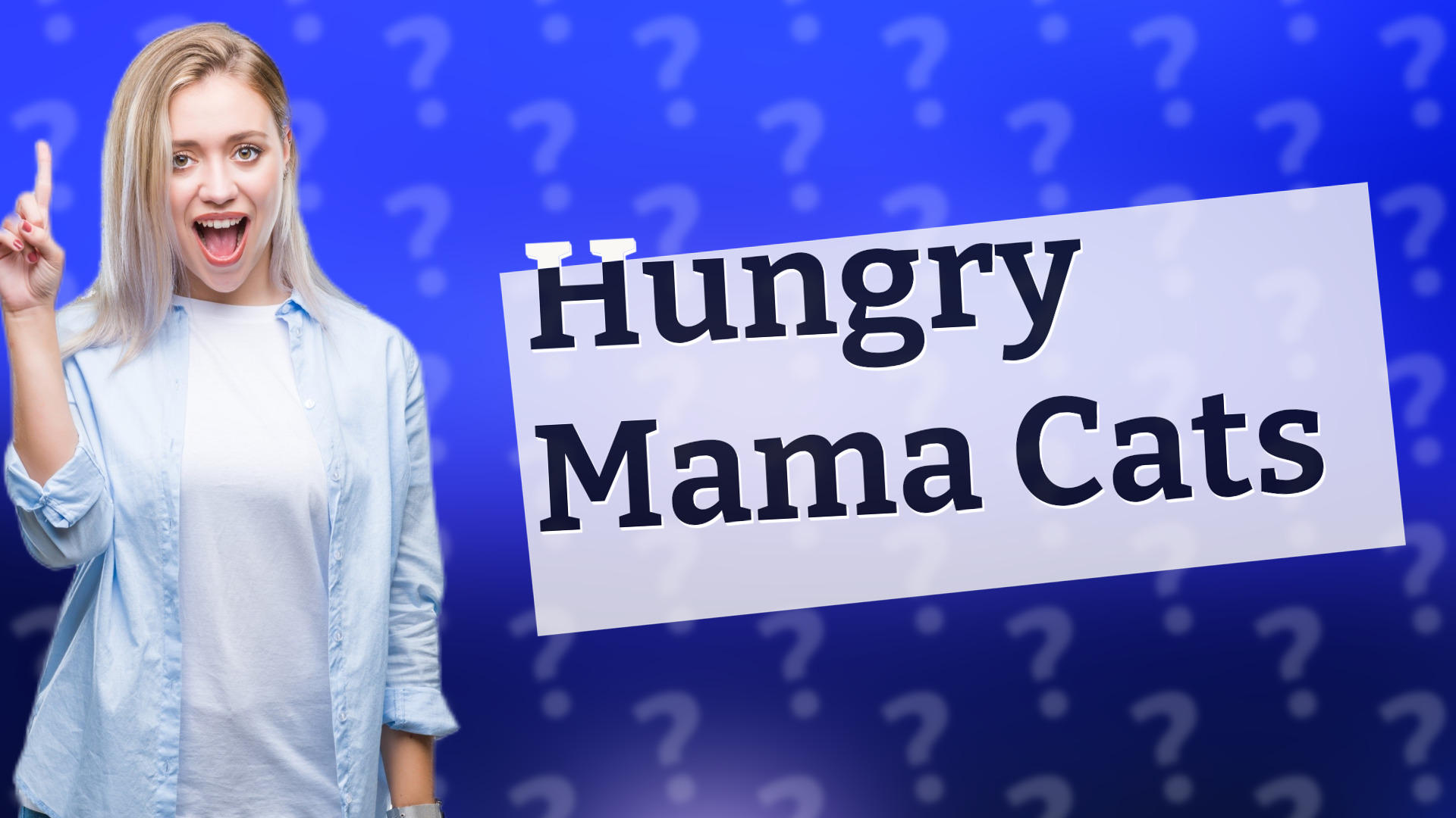 Hungry Mama Cats