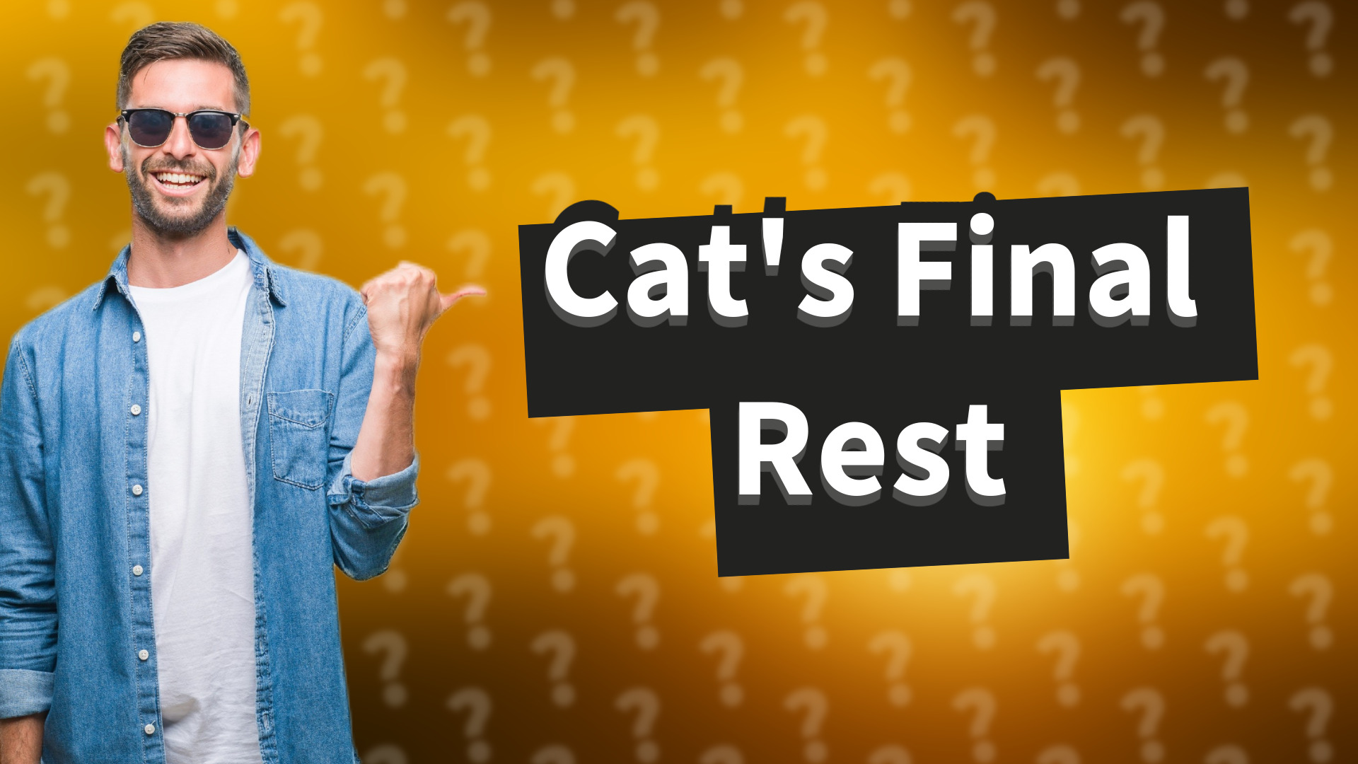 Cat's Final Rest