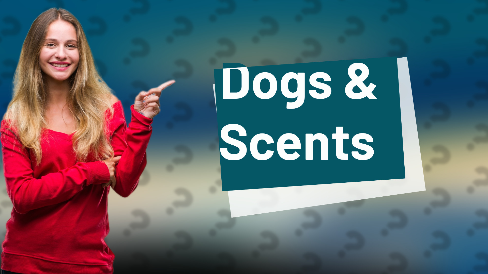 Dogs & Scents
