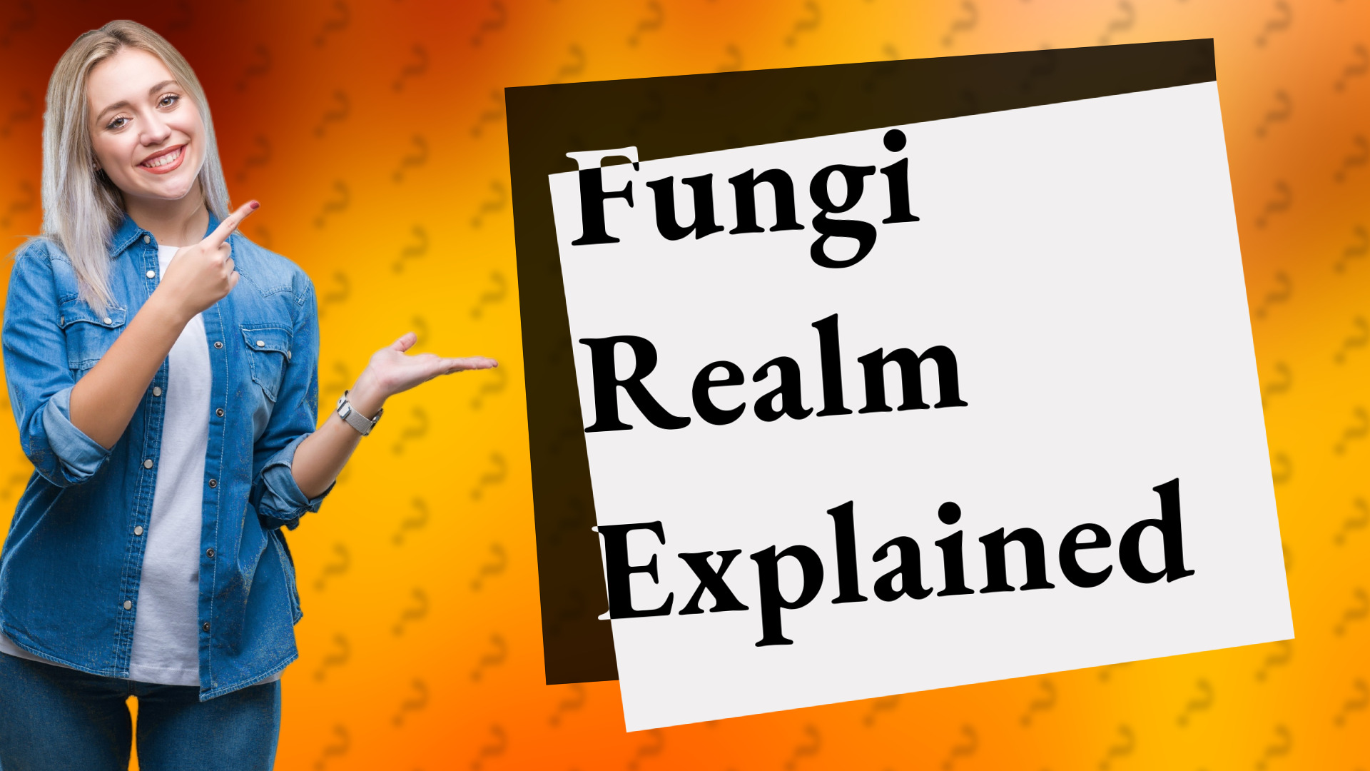 Fungi Realm Explained