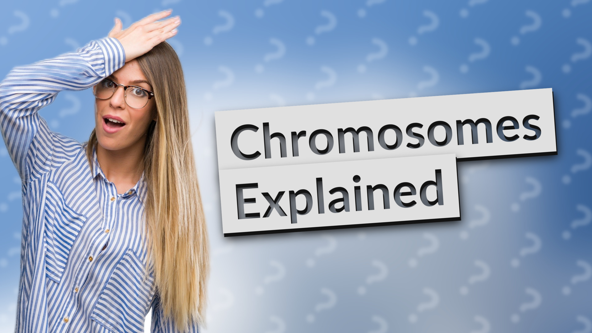 Chromosomes Explained